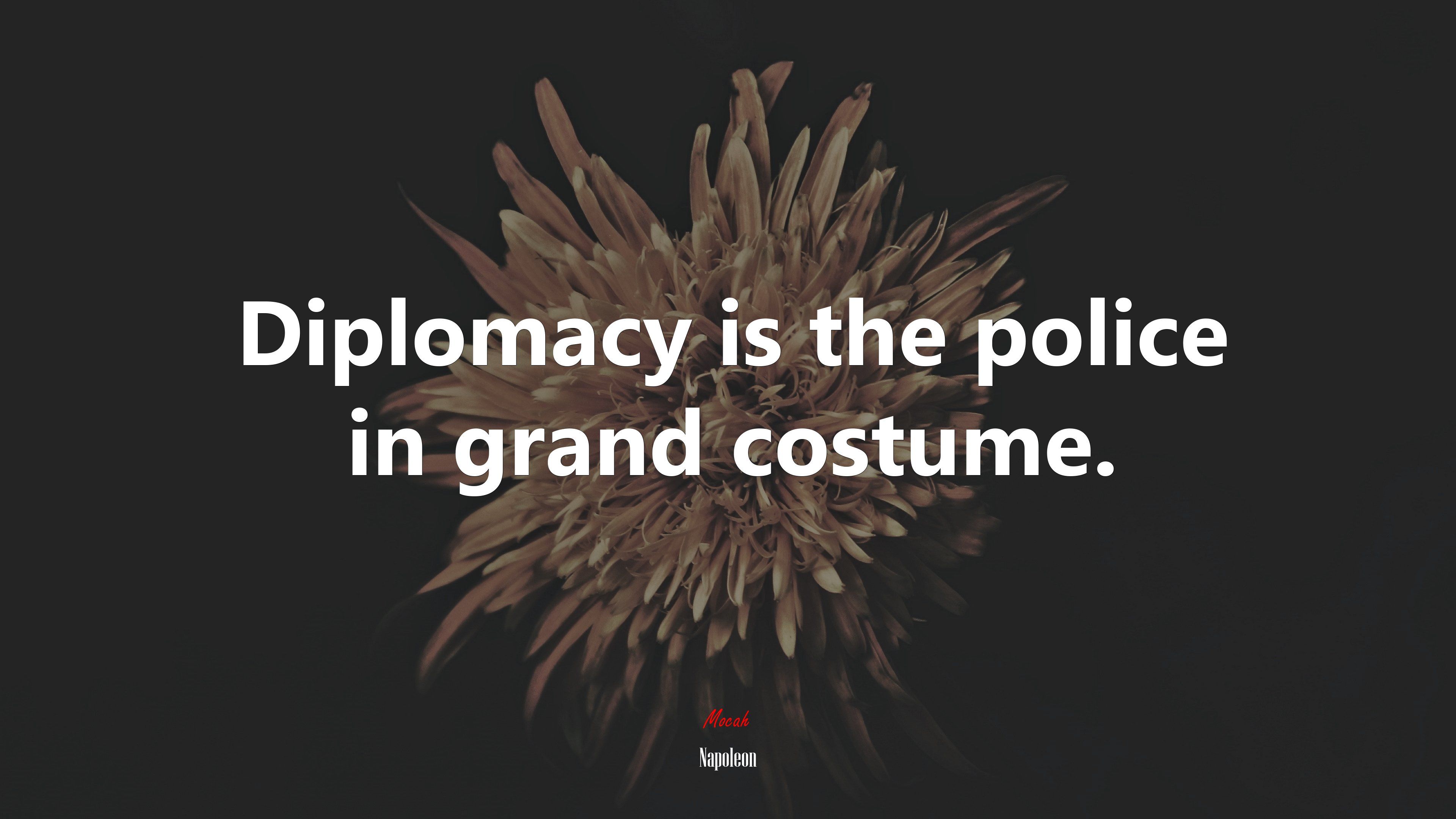 3840x2160 Diplomacy is the police in grand costume. Napoleon quote Gallery HD Wallpaper