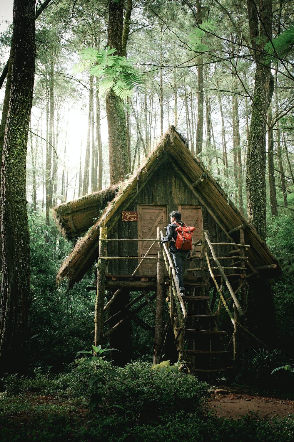 1000x1500 Jungle House Picture. Download Free Image