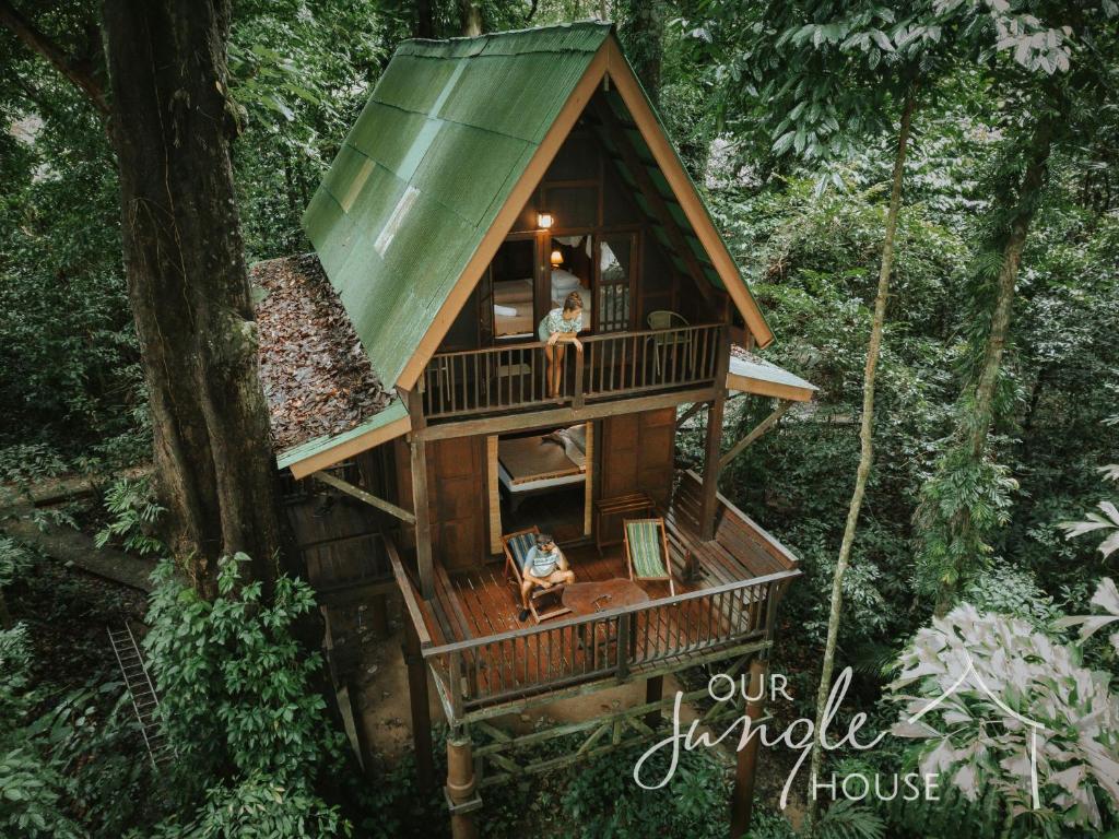 Jungle House Wallpapers - Top Free Jungle House Backgrounds