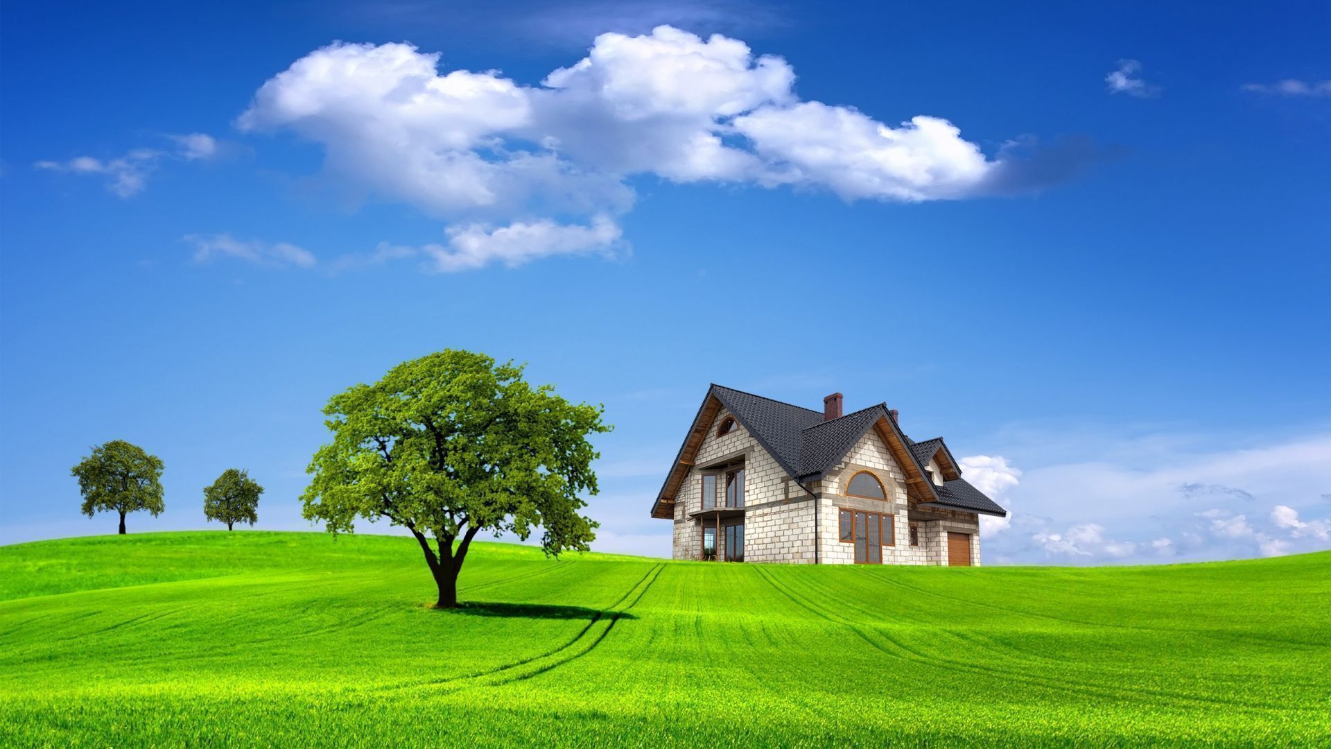 1920x1080 Free download Jungle house HD wallpaper HD Wallpaper [1920x1080] for your Desktop, Mobile & Tablet. Explore Jungle Wallpaper for Home. Jungle Background, Jungle Wallpaper, Jungle Book Wallpaper