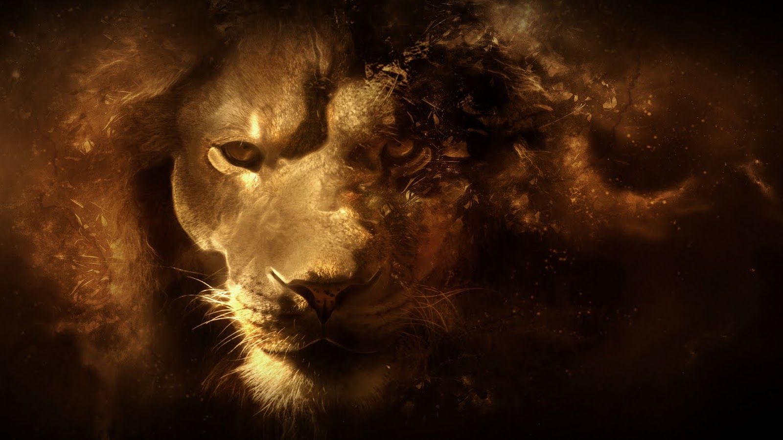 1600x900 Free download Lion Vector Art 1080p HD Wallpaper Latest HD Wallpaper [1600x900] for your Desktop, Mobile & Tablet. Explore Lion 1080p Wallpaper. Lion Wallpaper, Rasta Lion Wallpaper, Mac Lion Wallpaper