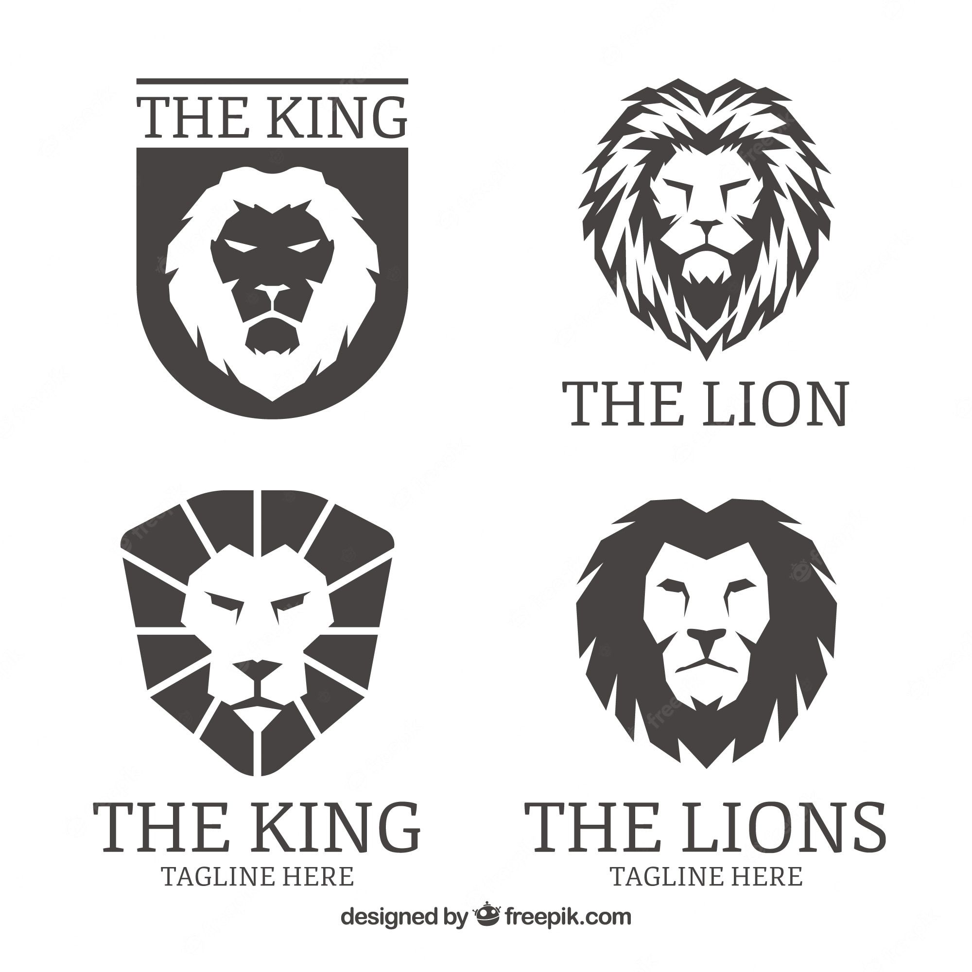 2000x2000 Lion Image