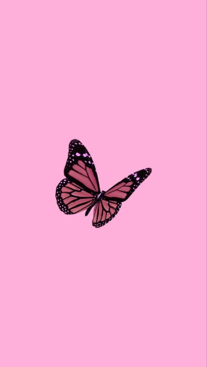 676x1200 Download Y2k Aesthetic Pink Monarch Butterfly Wallpaper