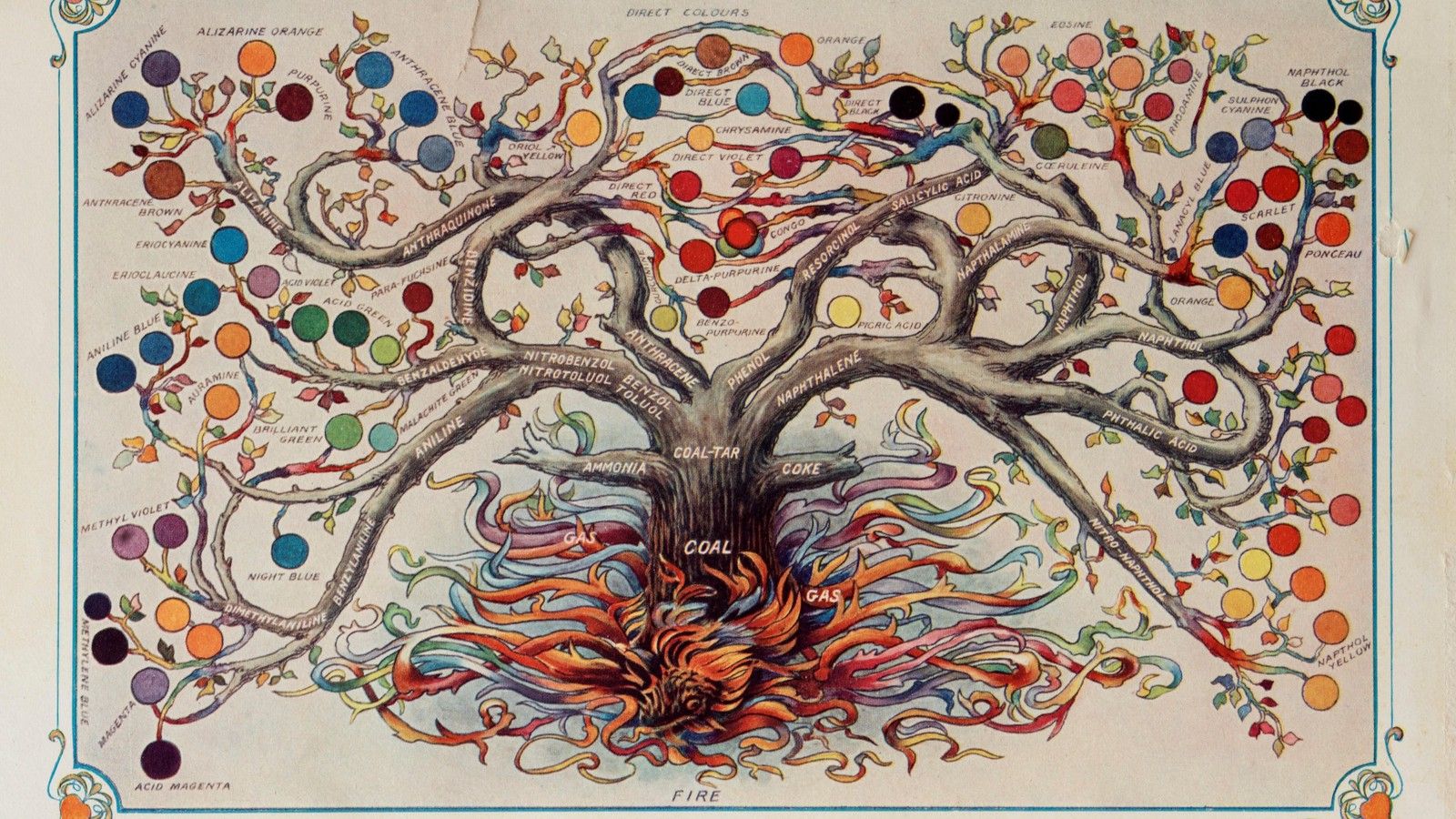1600x900 How the Benzene Tree Polluted the World
