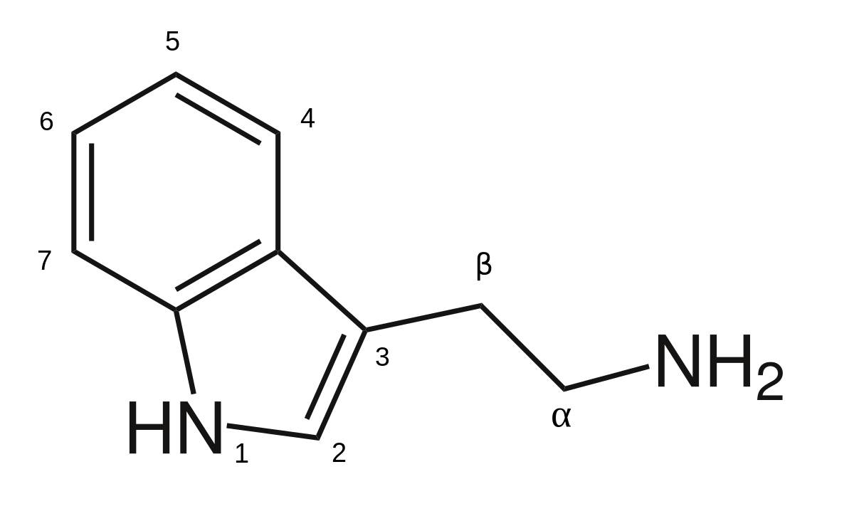 1200x739 Tryptamine