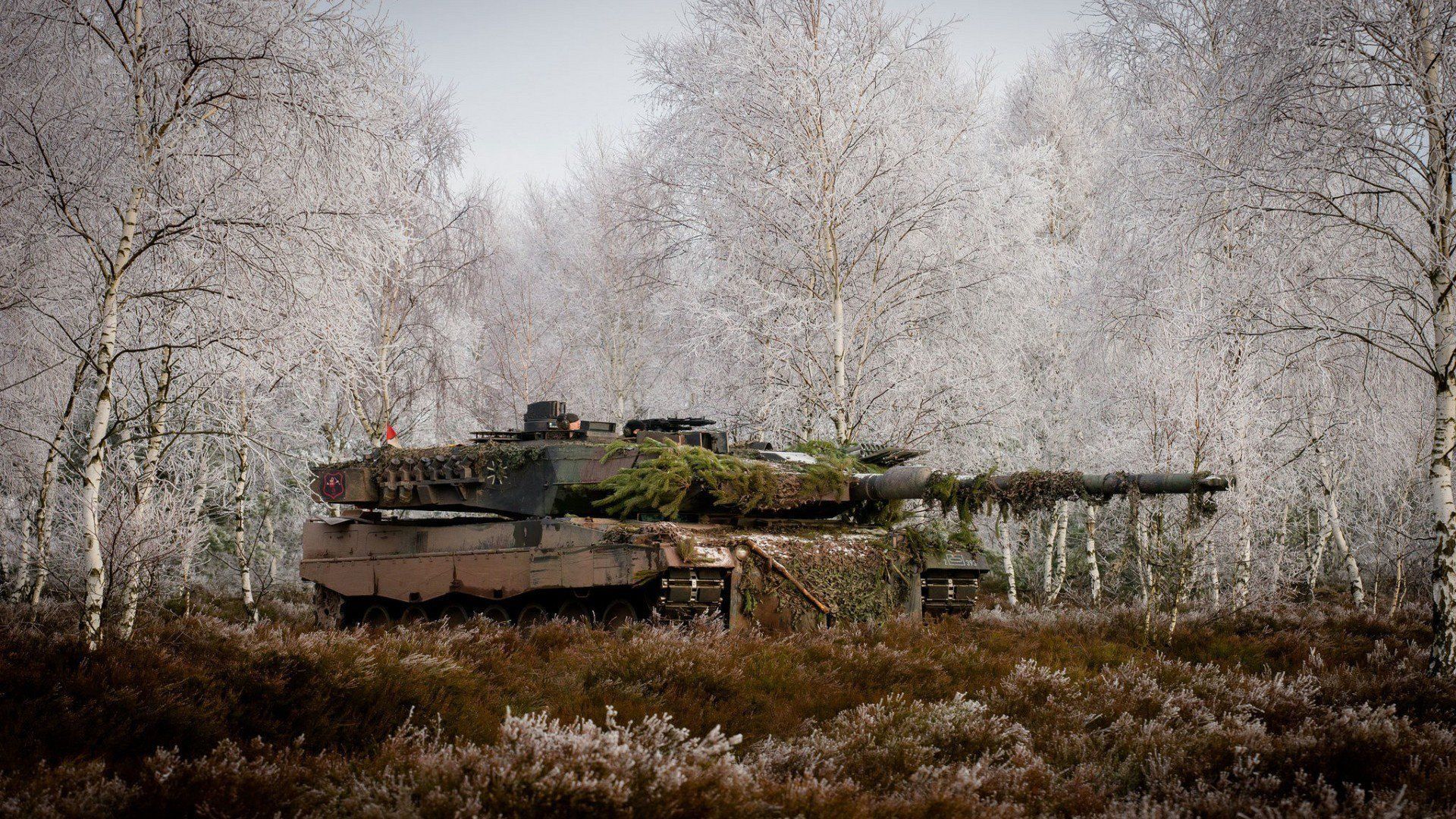 Why Leopard 2 Tanks Would Make 'Crucial' Difference: Retired Lt. General