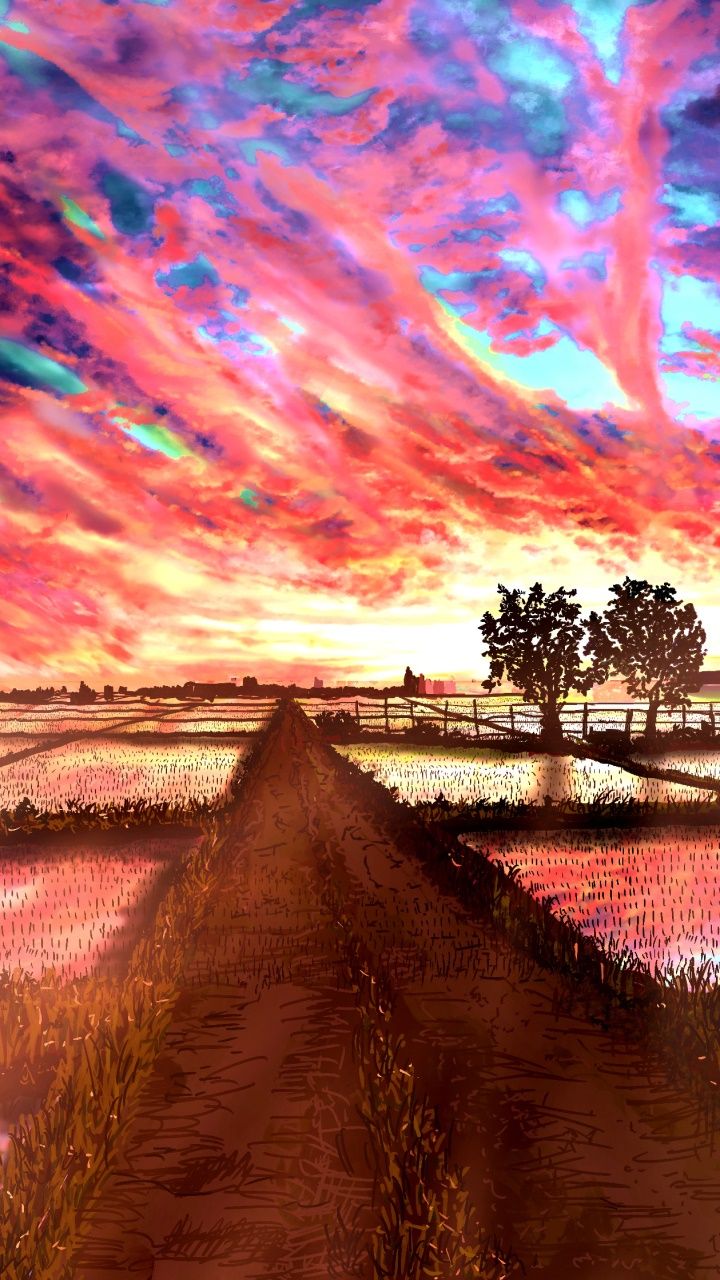 720x1280 Wallpaper / Anime Nature Phone Wallpaper, Cloud, Paddy Field, Sunset, Sky, 720x1280 free download