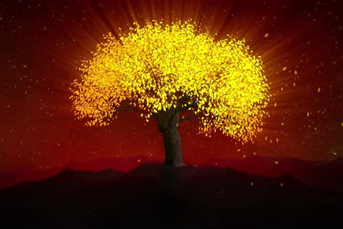 Golden Tree Wallpapers - Top Free Golden Tree Backgrounds - WallpaperAccess