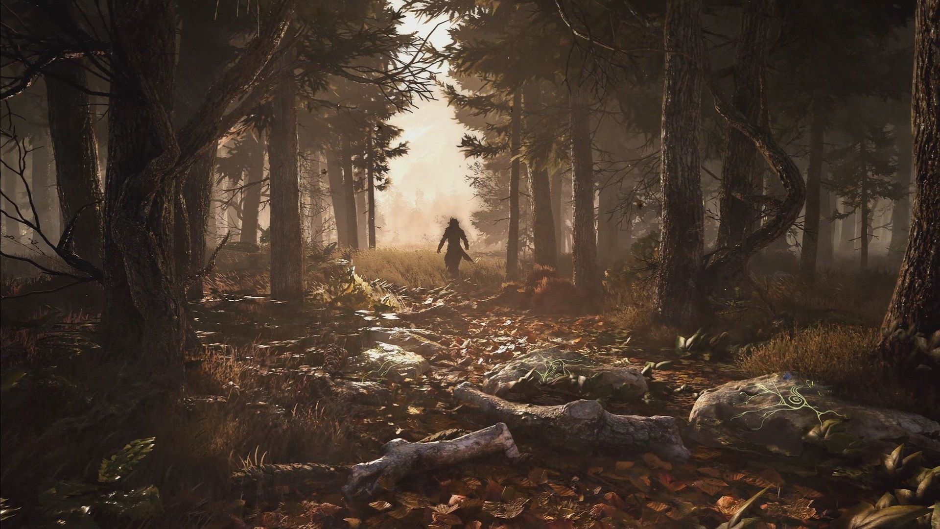 1920x1080 GreedFall Wallpaper 68574 1920x1080px