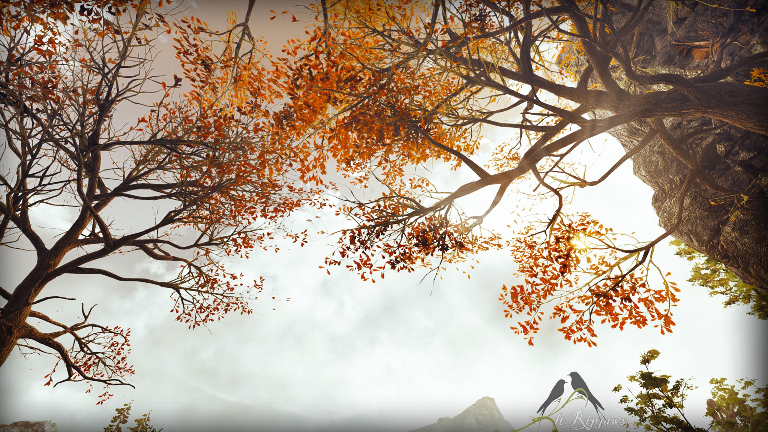 2560x1440 Greedfall Autumn 2K [2560 x 1440]