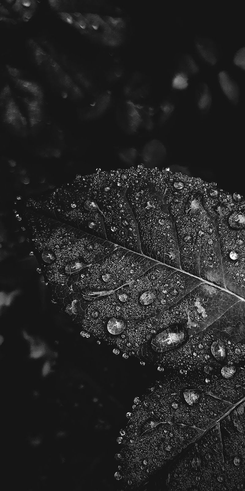 800x1600 