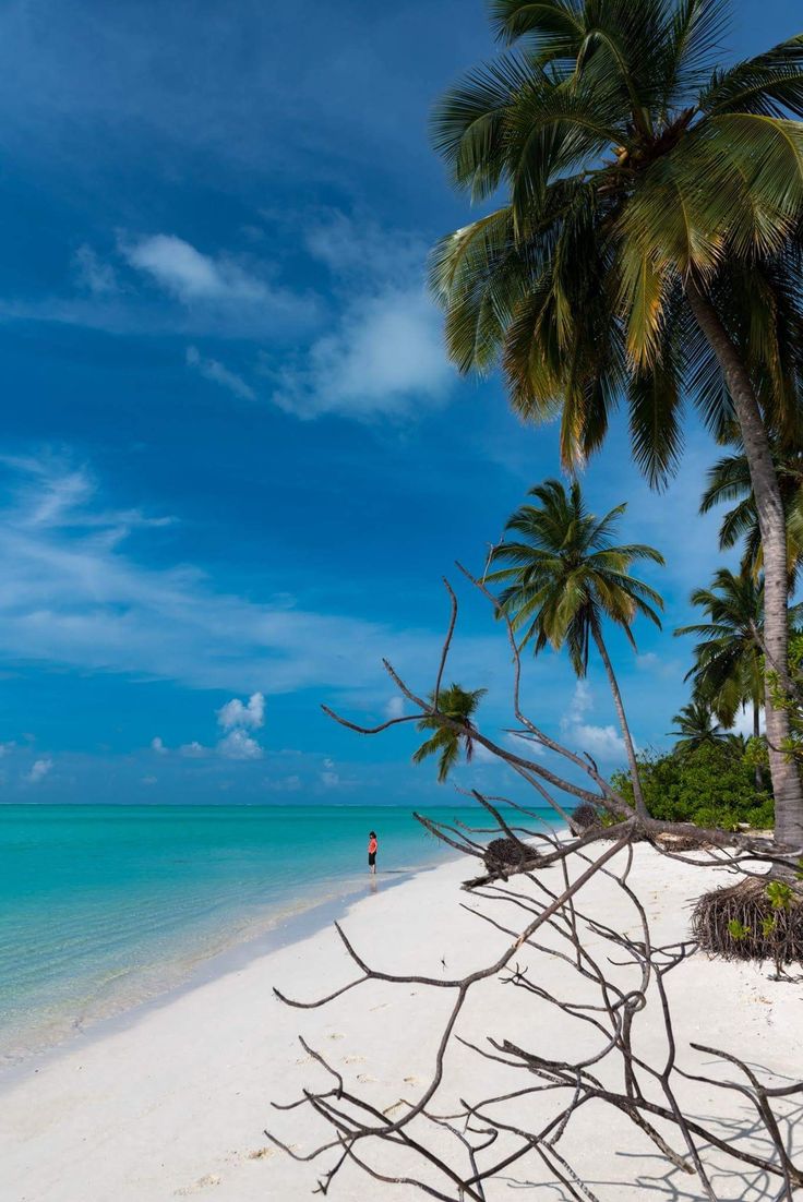 736x1102 Lakshwadeep Islands, Indian Ocean. Lakshadweep islands, Lakshadweep, Andaman and nicobar islands