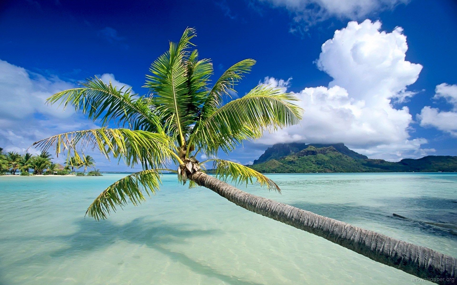 1920x1200 MESMERIZING LAKSHADWEEP. TRAVEL BEYOND BORDERS