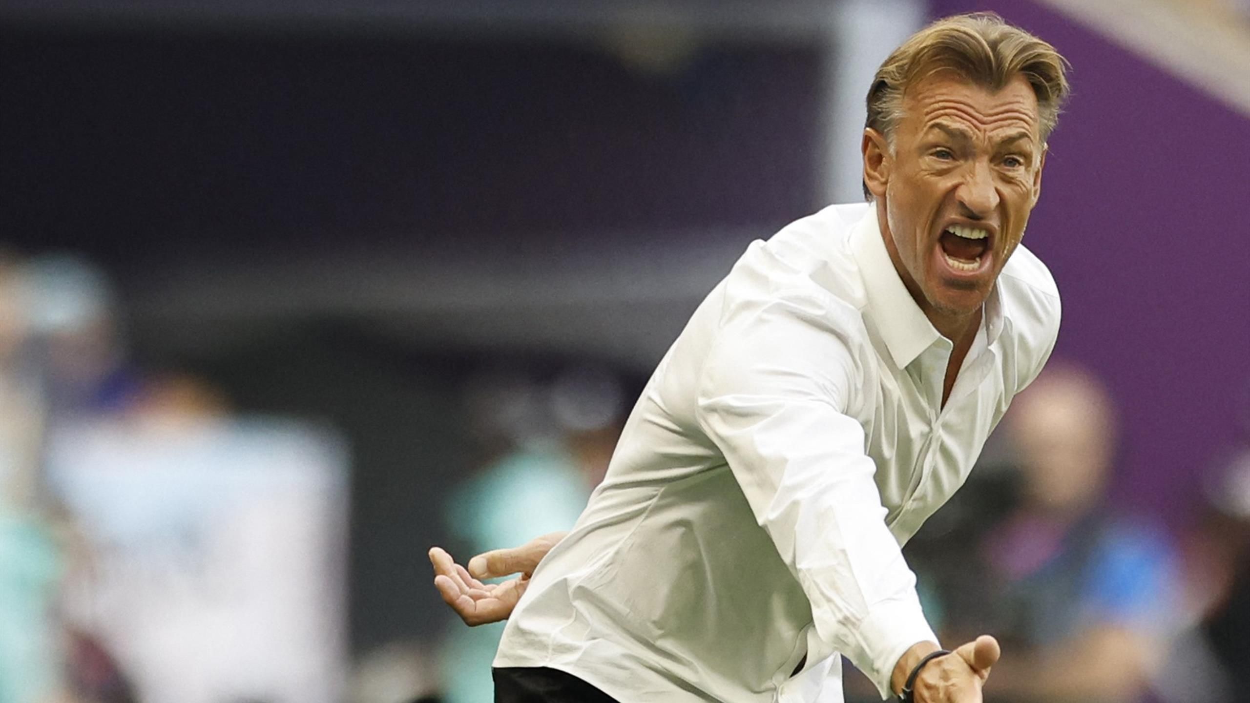 2560x1440 Herve Renard appointed France women's team manager ahead of World Cup and Paris Olympics