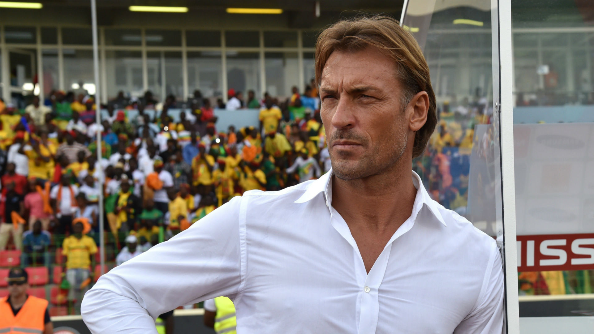 1920x1080 Lille sack manager Herve Renard