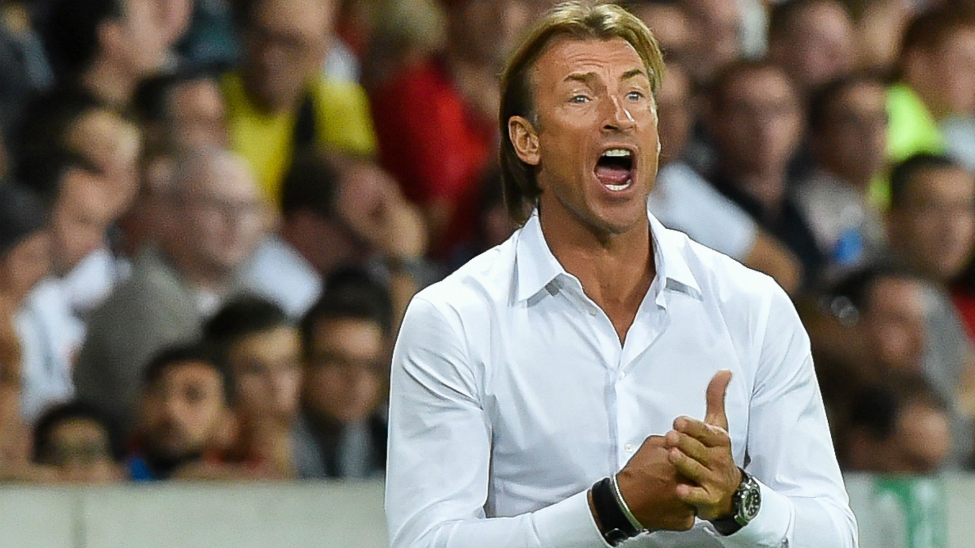 1920x1080 Herve Renard is 'a bit like Mourinho' d'Ivoire's Kalou. Sporting News Canada
