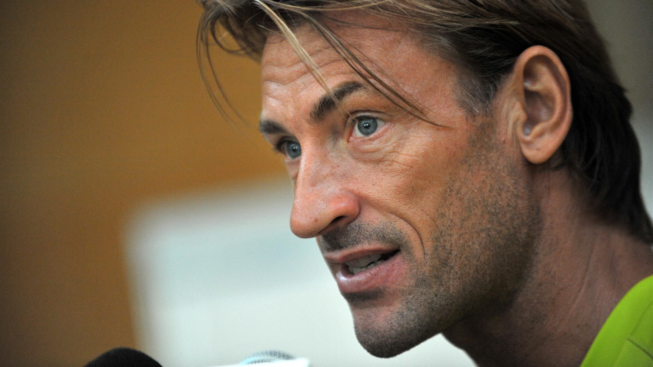 2560x1440 Renard 'posterboy' for coaches seeking route home
