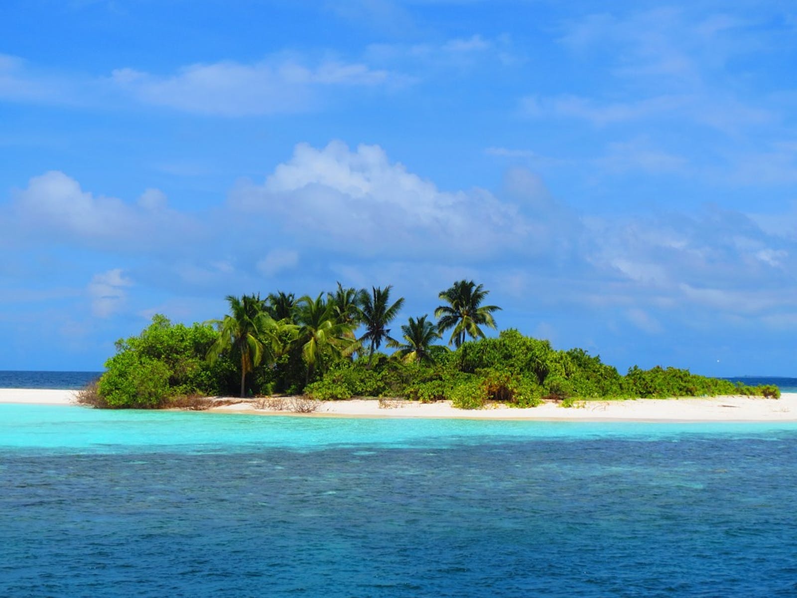1600x1200 Maldives Lakshadweep Chagos Archipelago Tropical Moist Forests