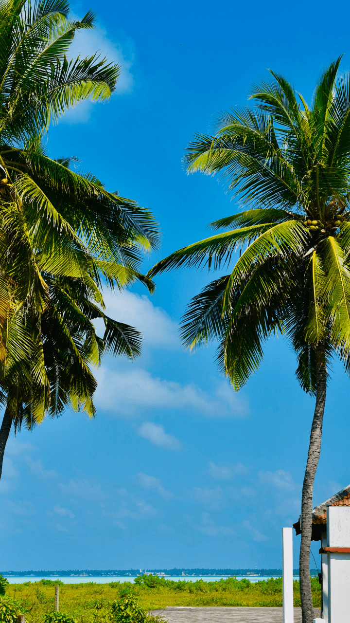 720x1280 Exploring Lakshadweep Islands Like Never Before