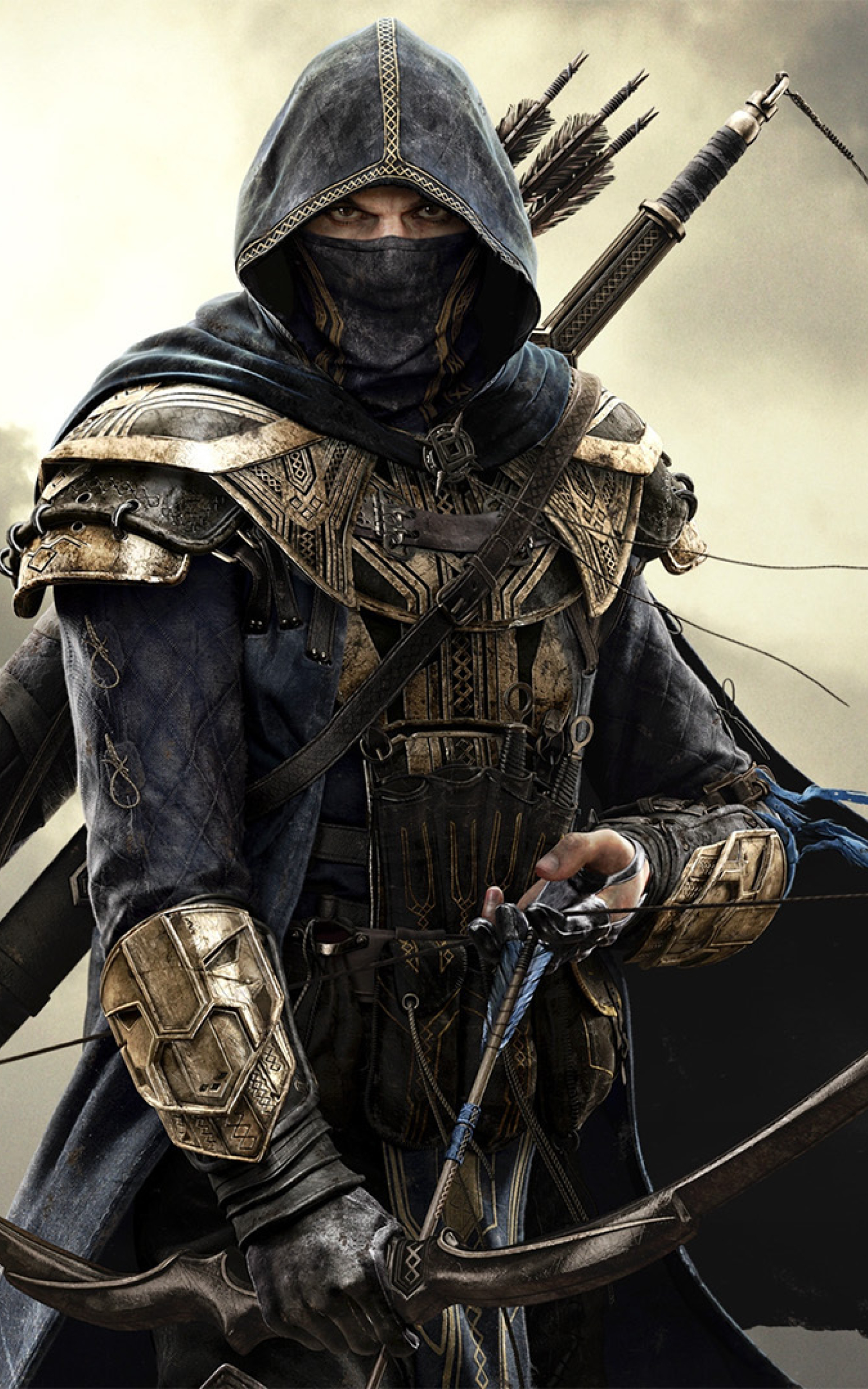 1600x2560 Resolution the elder scrolls online, sword of the night, warrior 1600x2560 Resolution Wallpaper