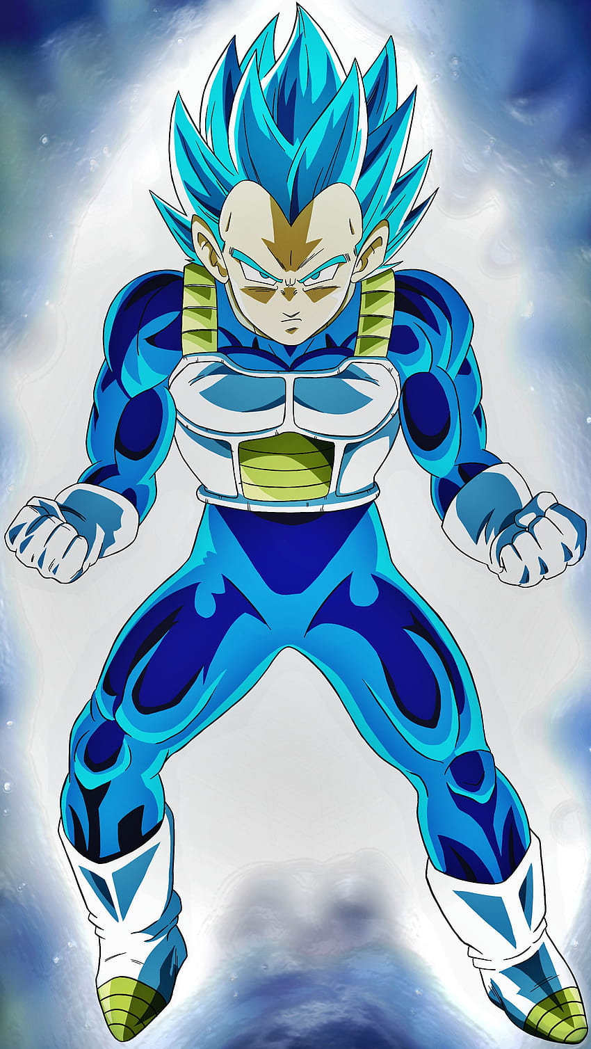 850x1508 Vegeta SSJ Blue, vegeta super saiyan blue HD phone wallpaper