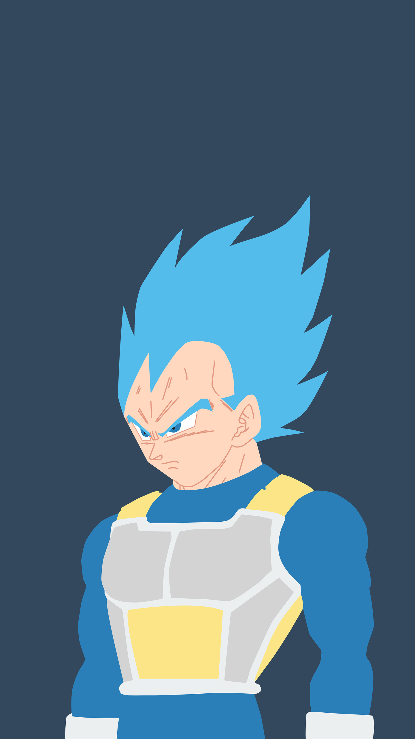 1440x2560 Super Saiyan Blue Vegeta 8k Samsung Galaxy S S7 , Google Pixel XL , Nexus 6P , LG G5 HD 4k Wallpaper, Image, Background, Photo and Picture
