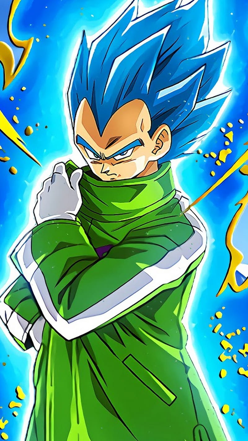 800x1422 Vegeta, dragon ball super, super saiyan blue, HD phone wallpaper