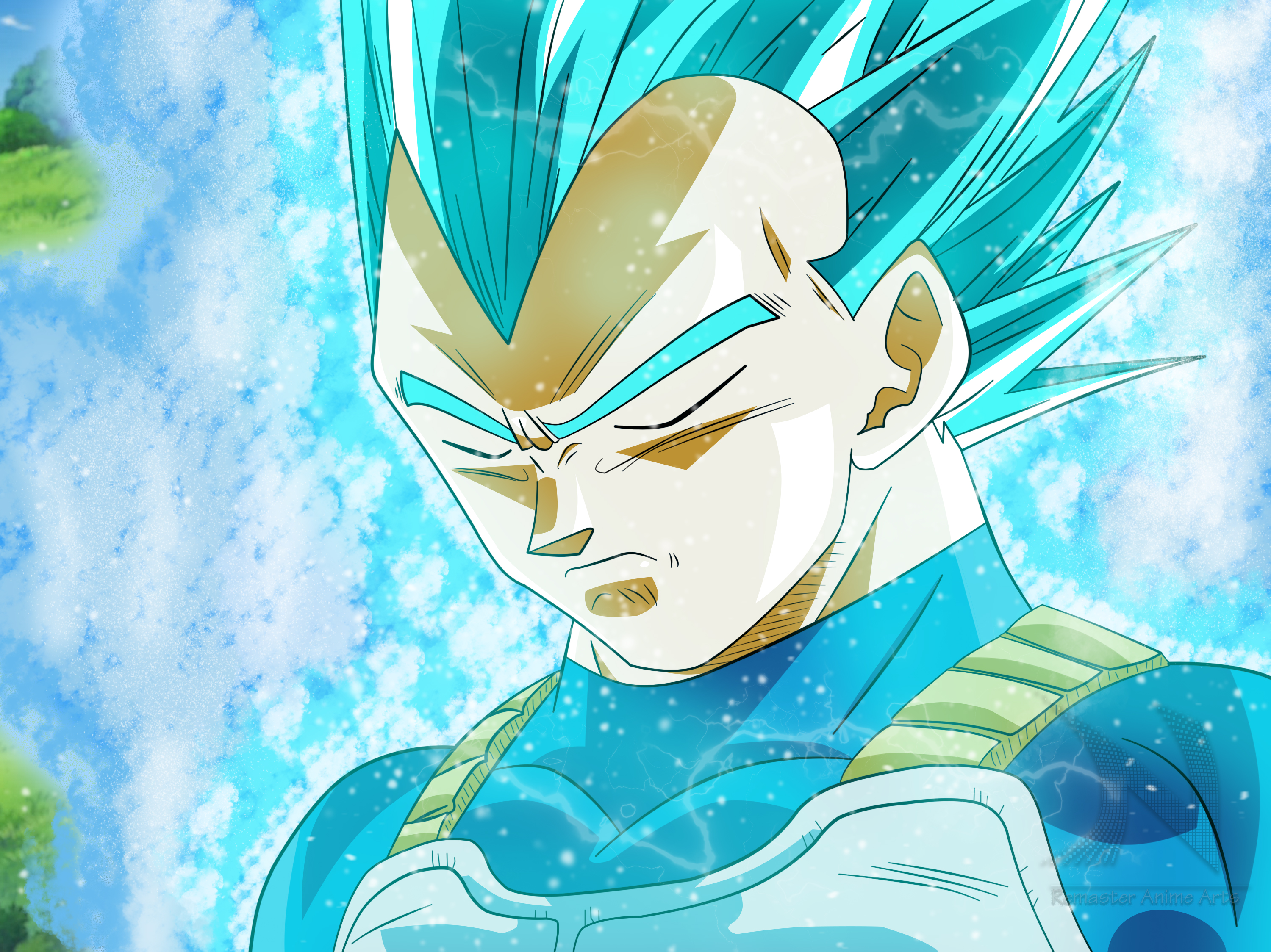 3000x2248 3000x2248 Vegeta (Dragon Ball), Super Saiyan Blue wallpaper.me!