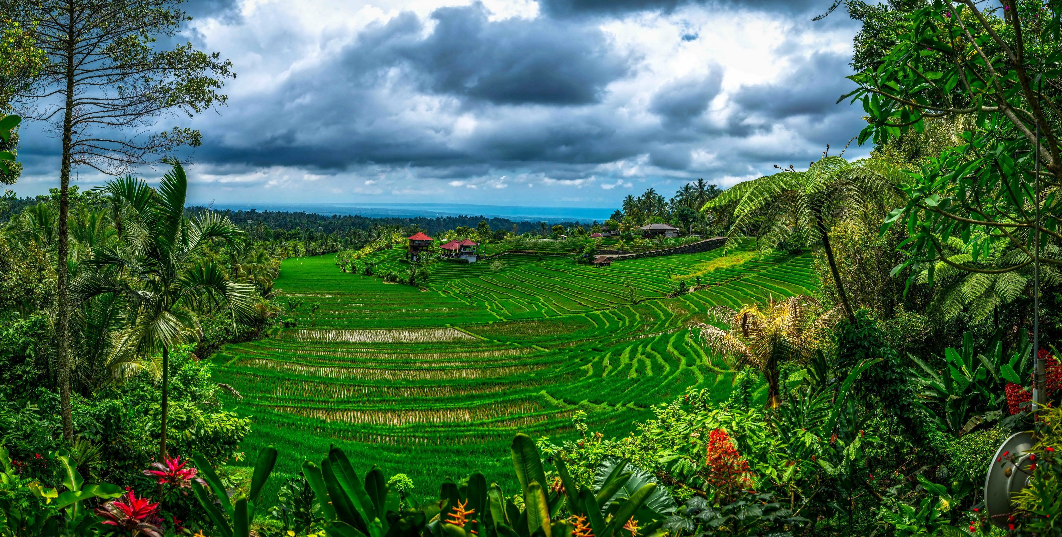 4350x2200 4K, Bali, Indonesia, Tropics, Fields, Clouds Gallery HD Wallpaper
