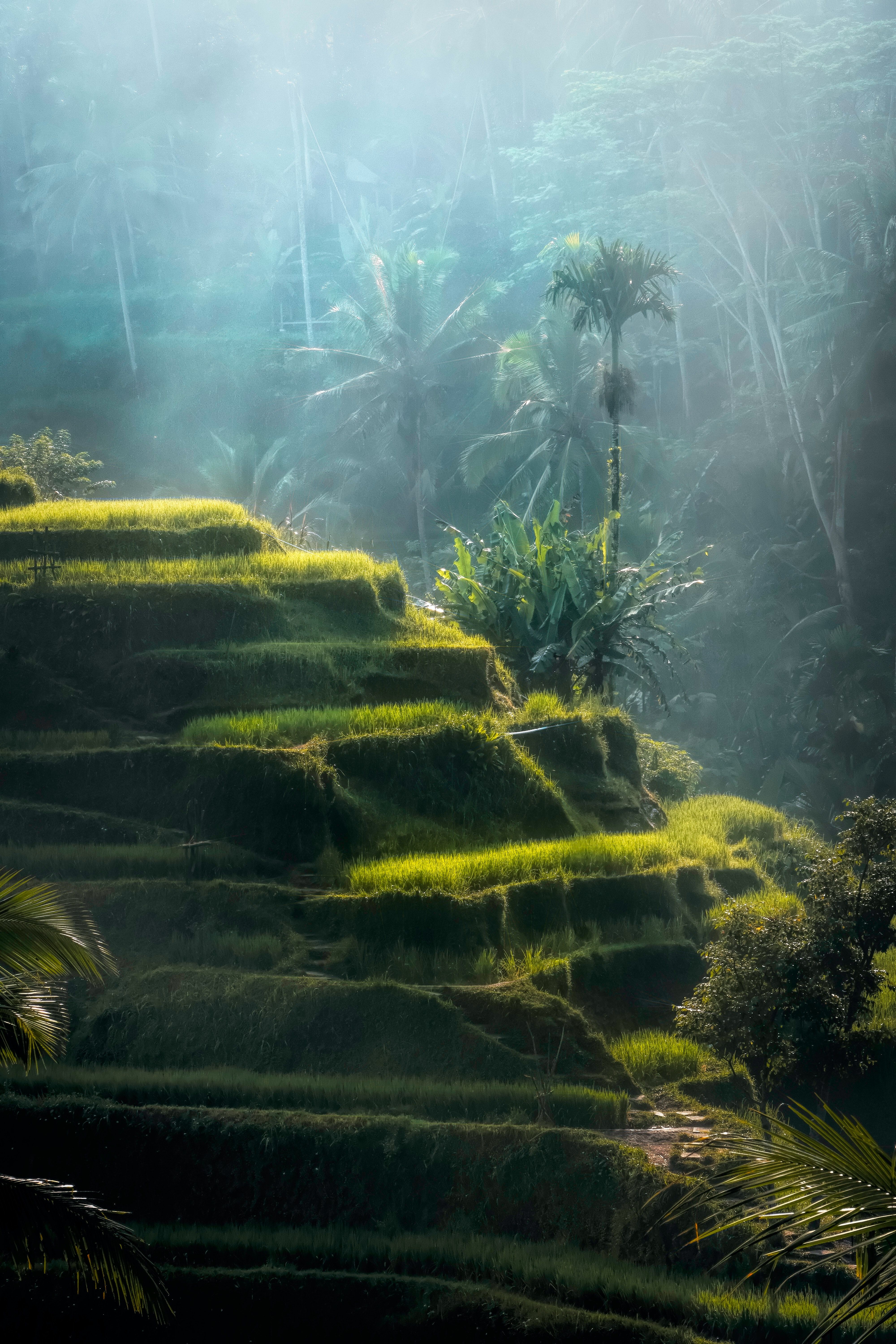 4000x6000 Bali Photo, Download The BEST Free Bali & HD Image