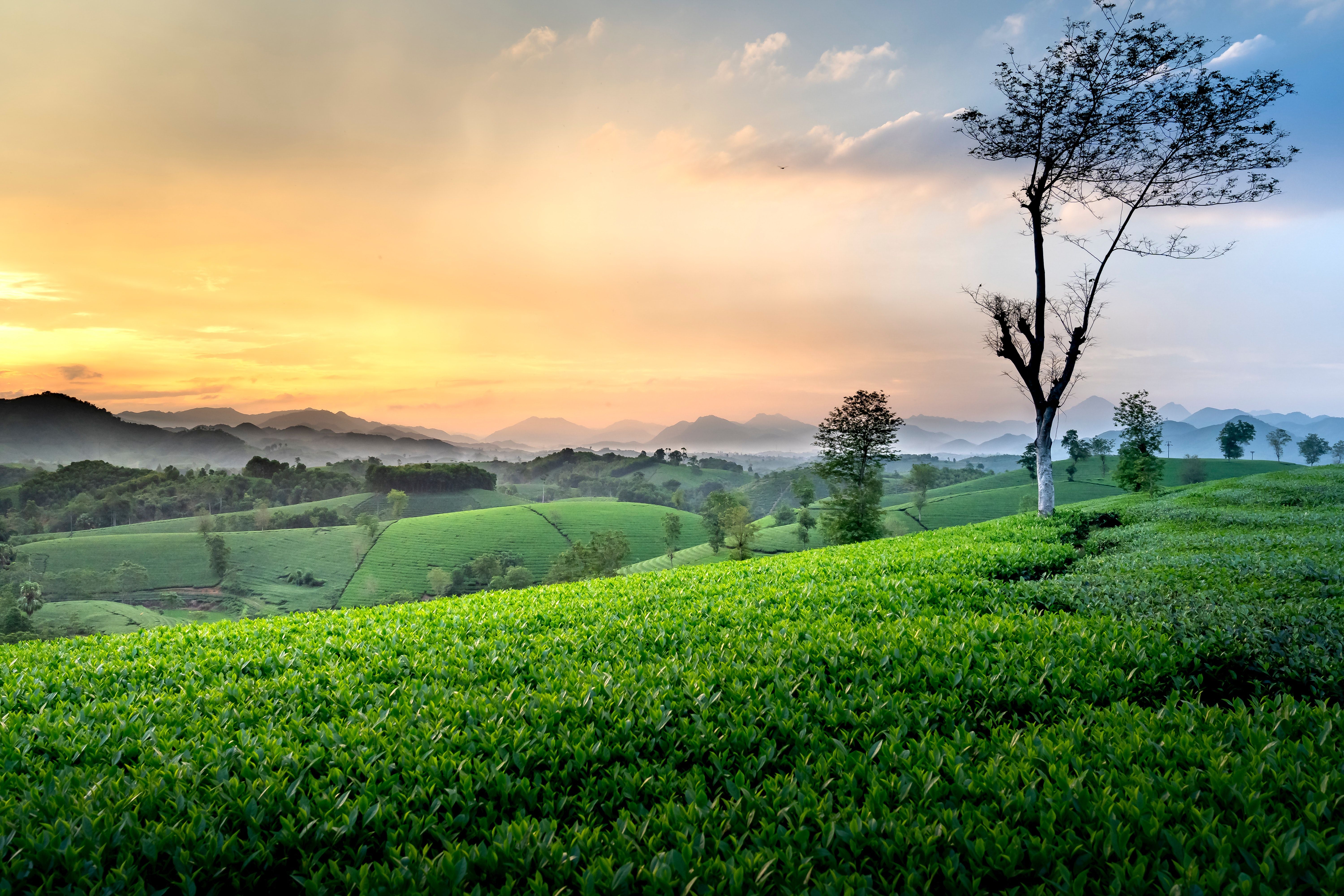 6000x4000 Sunset Over Lush Green Meadow · Free
