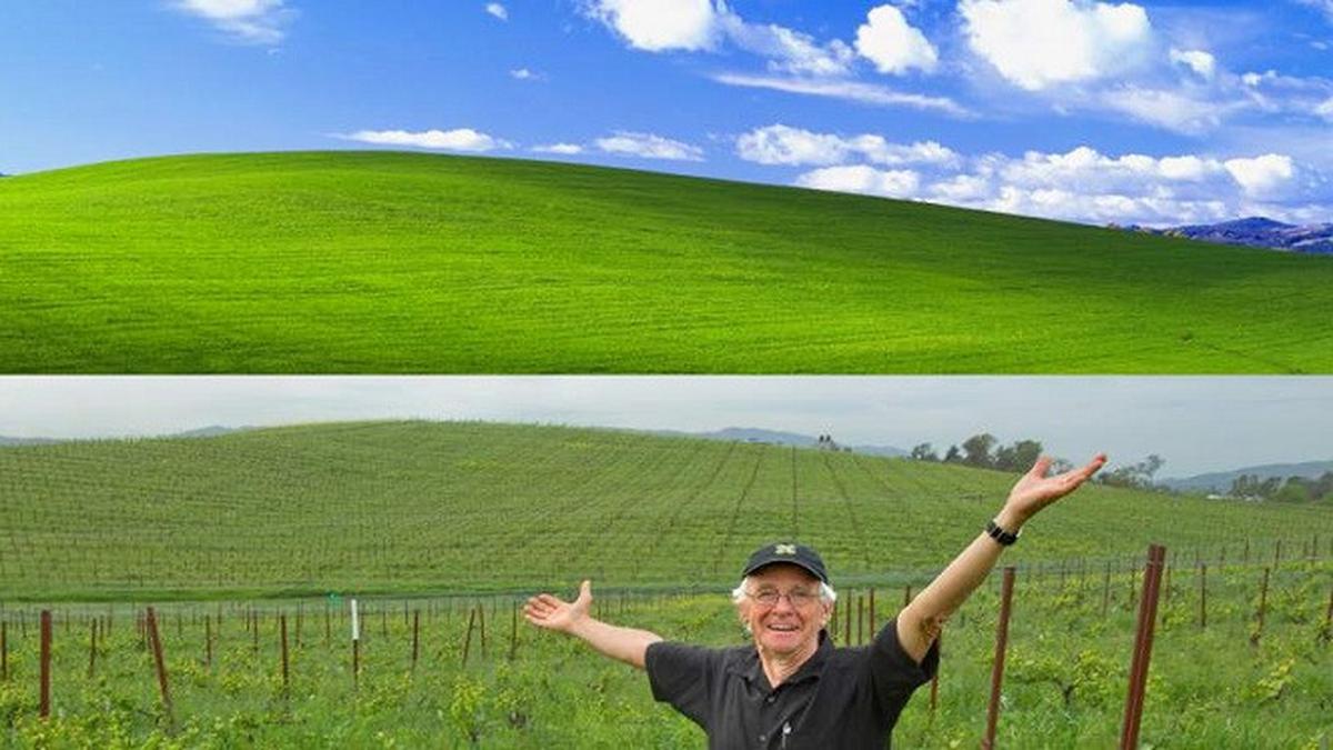 1200x675 Kisah di Balik Pemotretan Wallpaper Windows XP Rp 4 Miliar