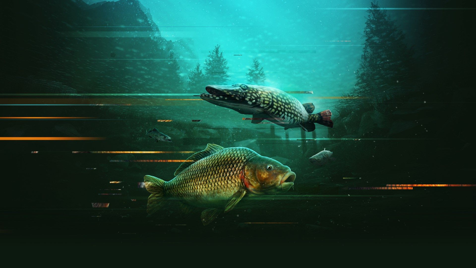 Carp Fish Wallpapers - Top Free Carp Fish Backgrounds - WallpaperAccess