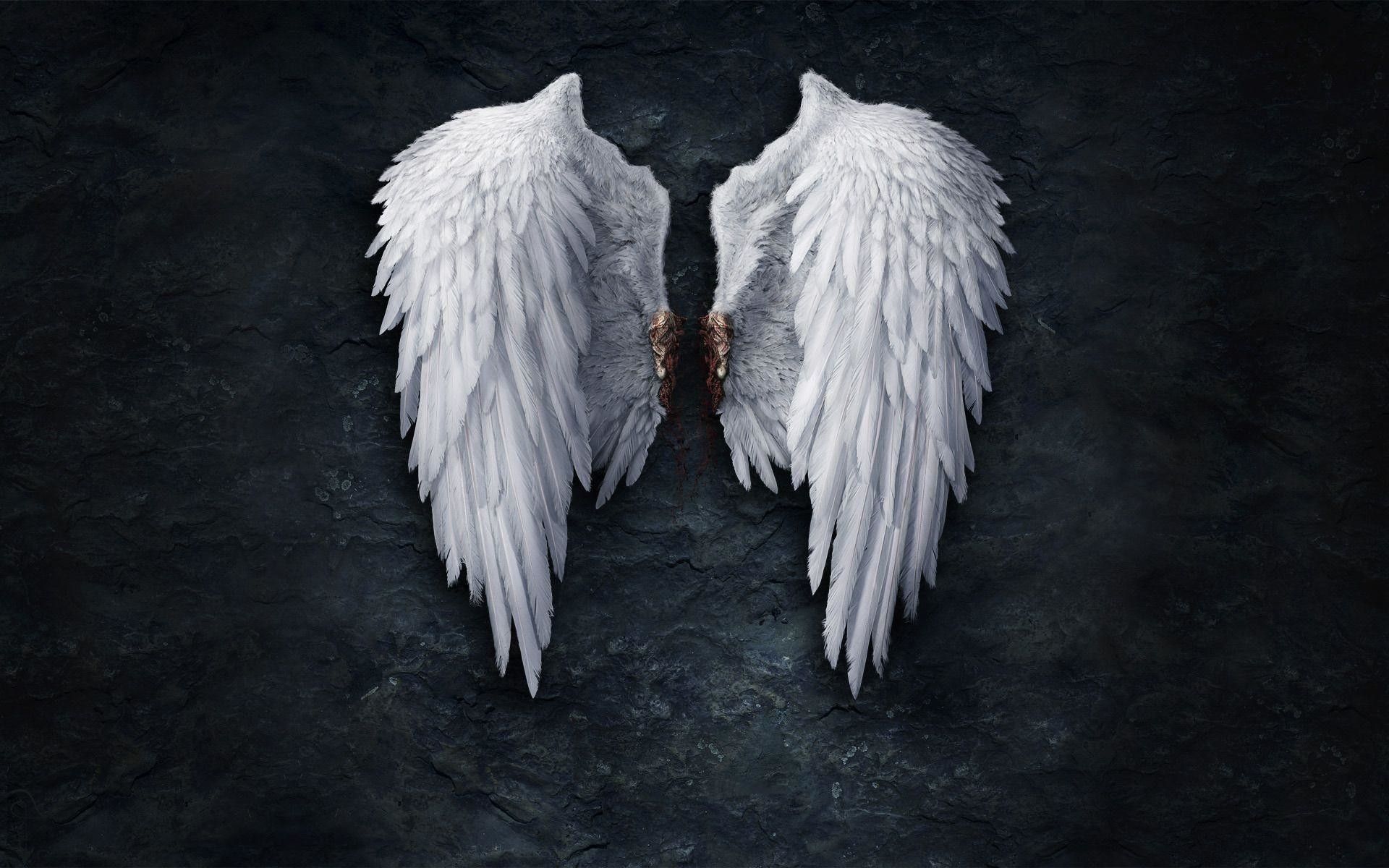 1920x1200 Angel Wings Wallpaper