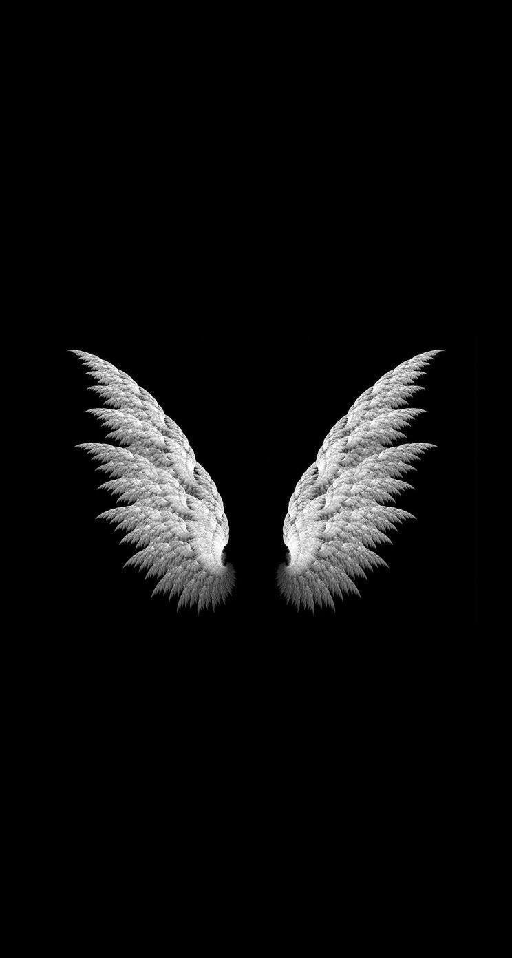 744x1392 Angel and devil wings Wallpaper Download