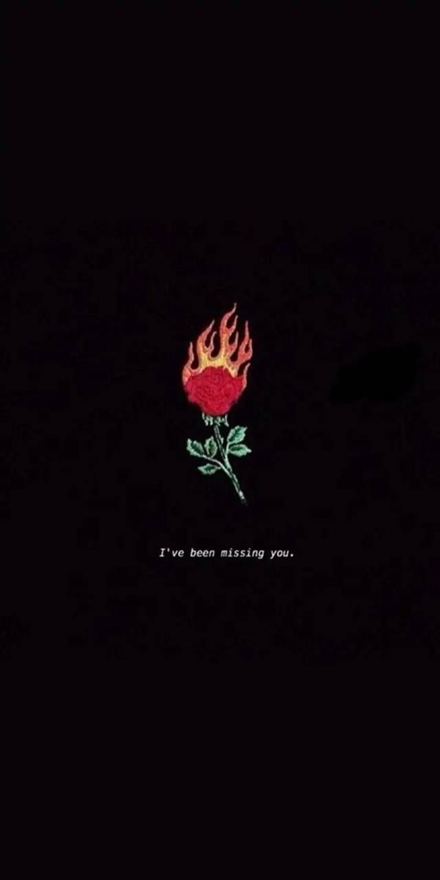 640x1280 Rose On Fire Wallpaper