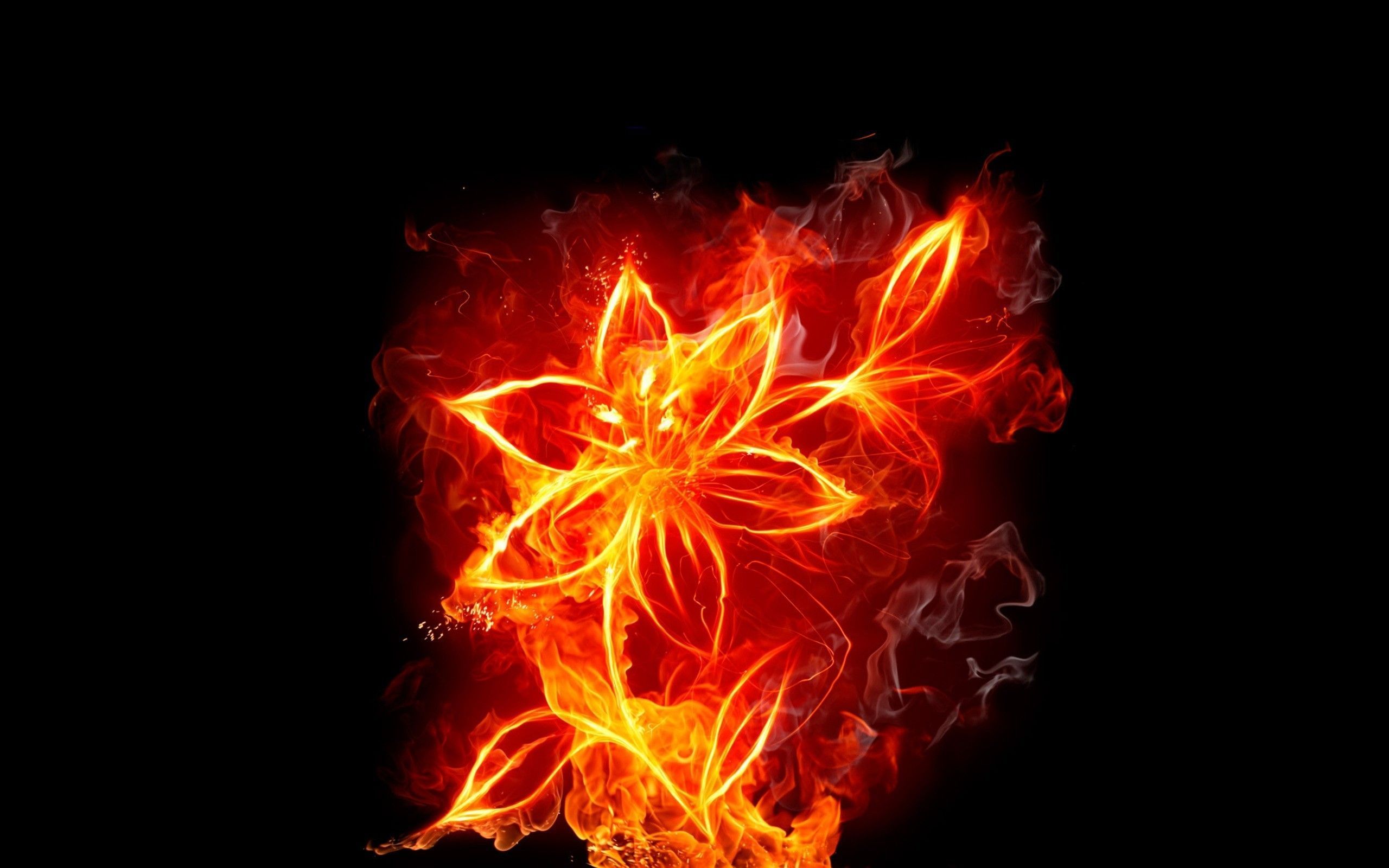 2560x1600 Wallpaper Red and Yellow Fire Digital Wallpaper, Background Free Image