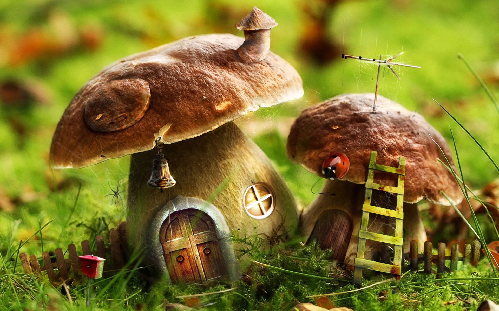 1920x1200 Mushroom House Wallpaper