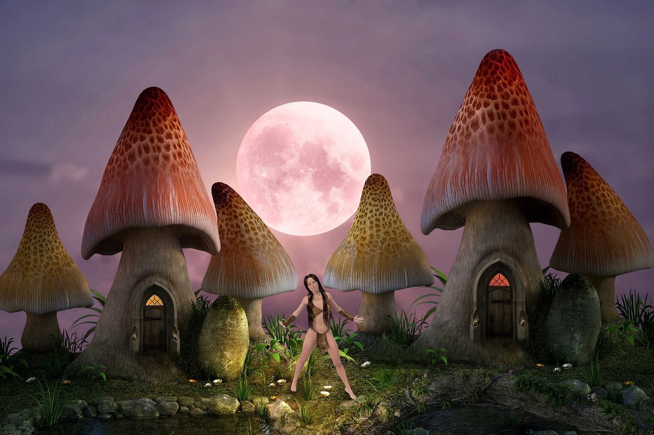 1280x853 Background Mushroom House