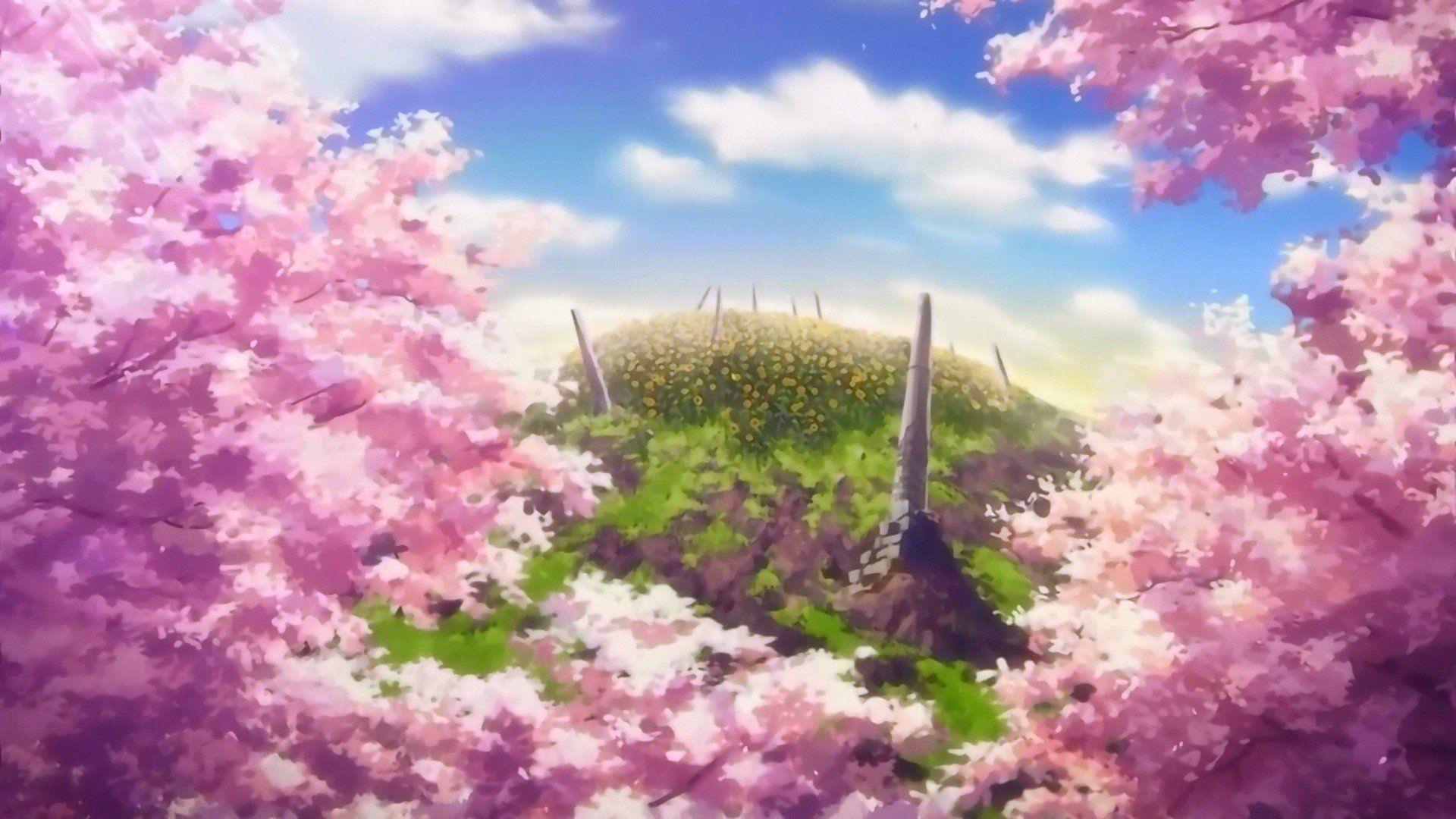 Anime Cherry Blossom Wallpapers Top Free Anime Cherry Blossom Backgrounds Wallpaperaccess