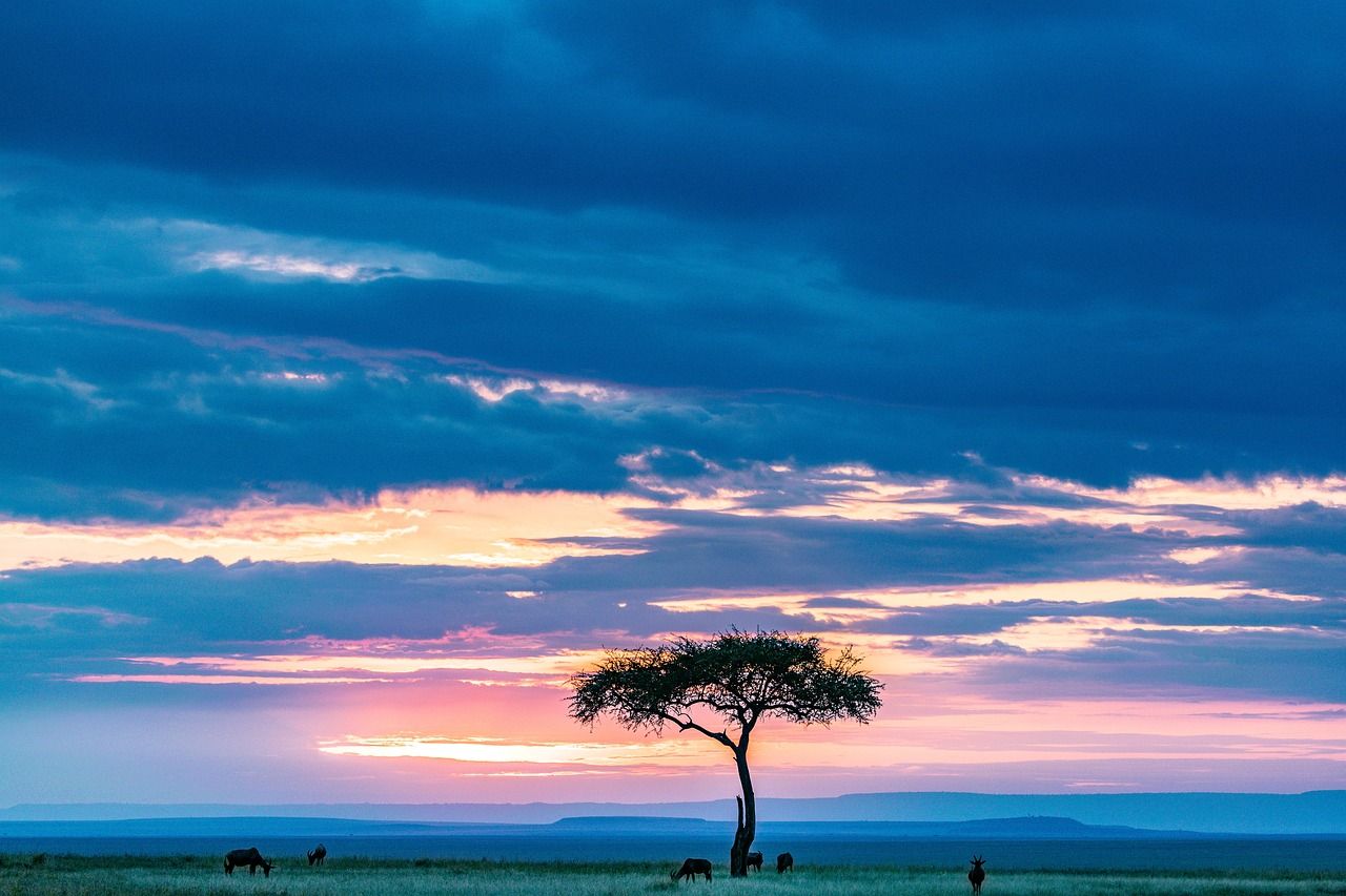 Masai Mara Wallpapers Top Free Masai Mara Backgrounds WallpaperAccess masai-mara-wallpapers-top-free-masai-mara-backgrounds-wallpaperaccess