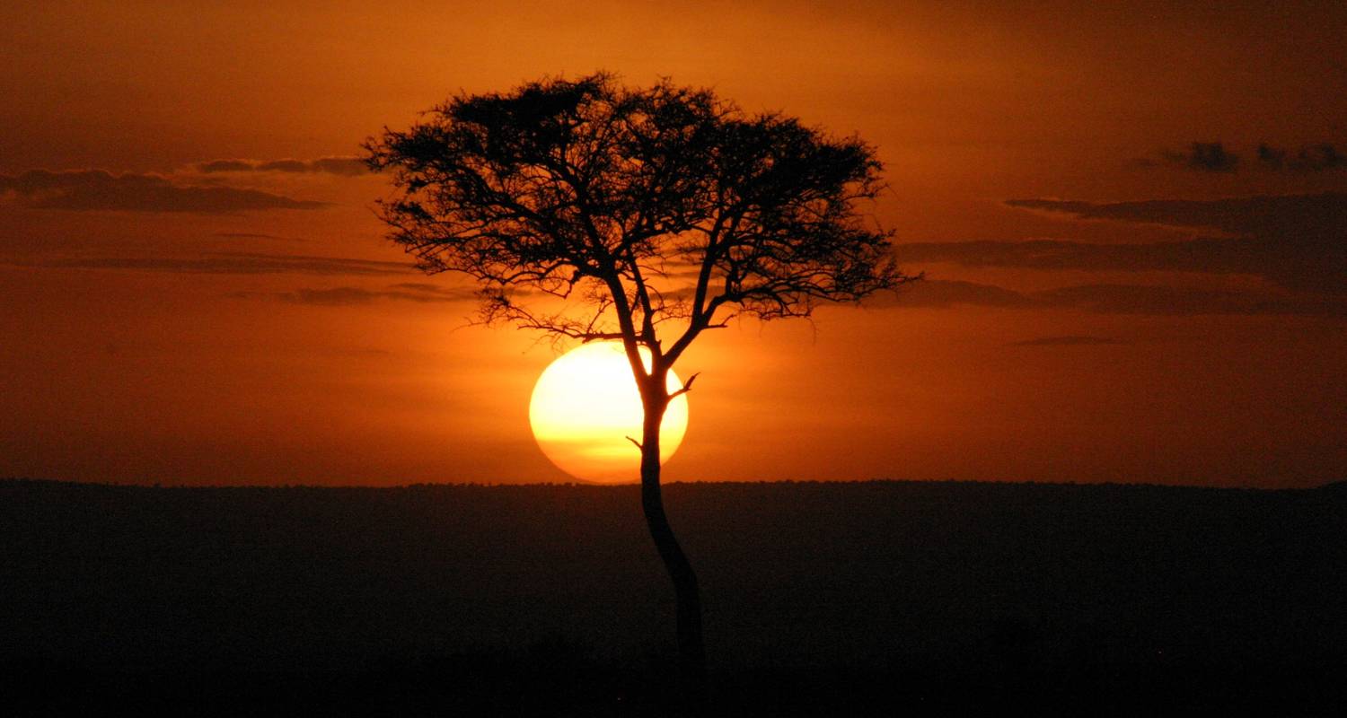 1500x800 Poa Sana Safari 5D 4N (Masai Mara, Sweetwaters & Lake Nakuru) By Bamba Travel (Code: 5837)