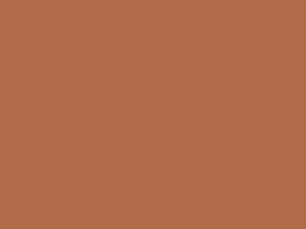1024x768 Brown Skin color hex code is #B06C49