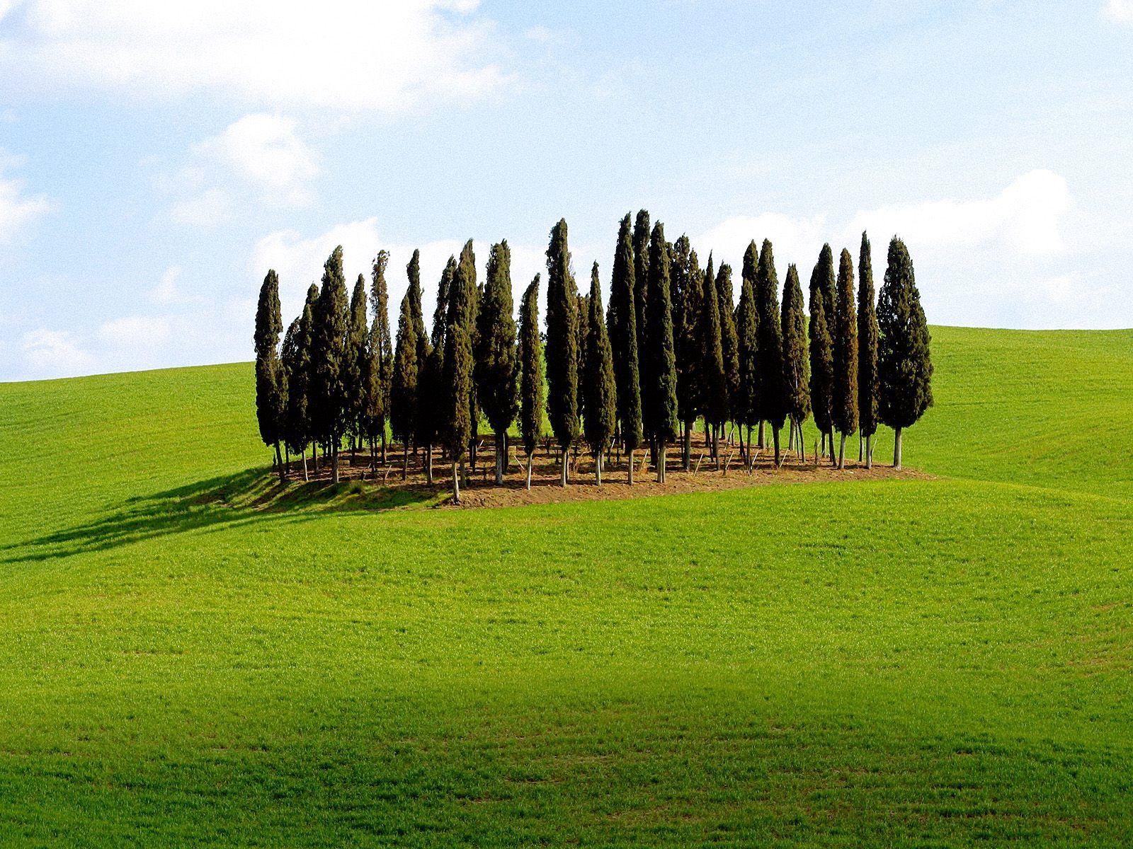Italian Countryside Wallpapers - Top Free Italian ...