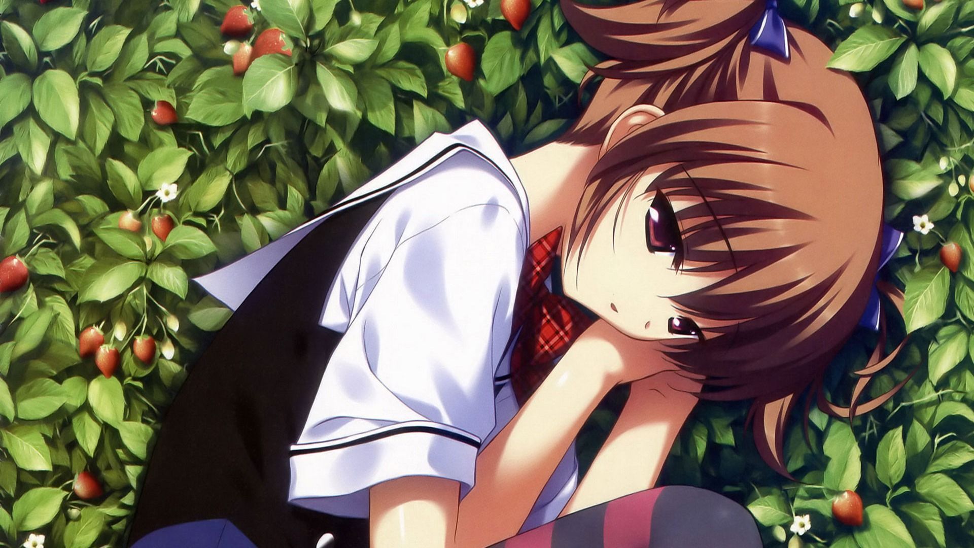 1920x1080 Gray fruit Anime Desktop Wallpaper 09