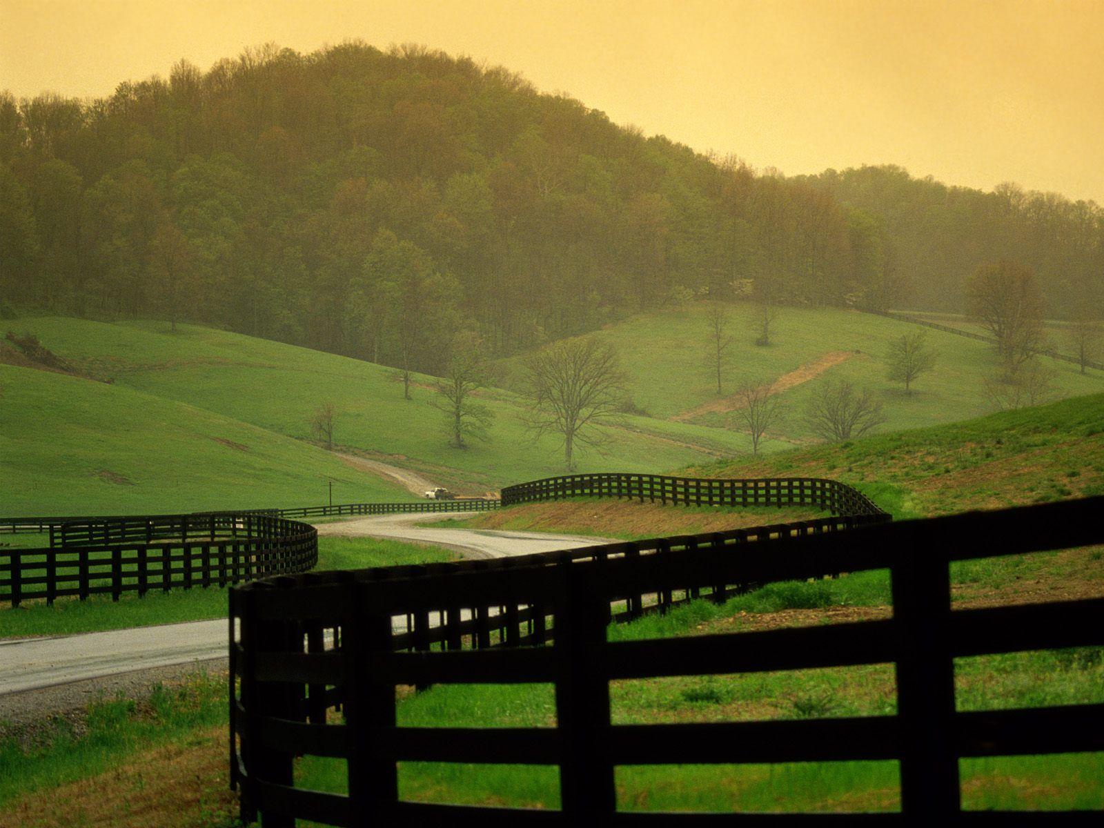 1600x1200 Countryside Picture wallpaperx1200