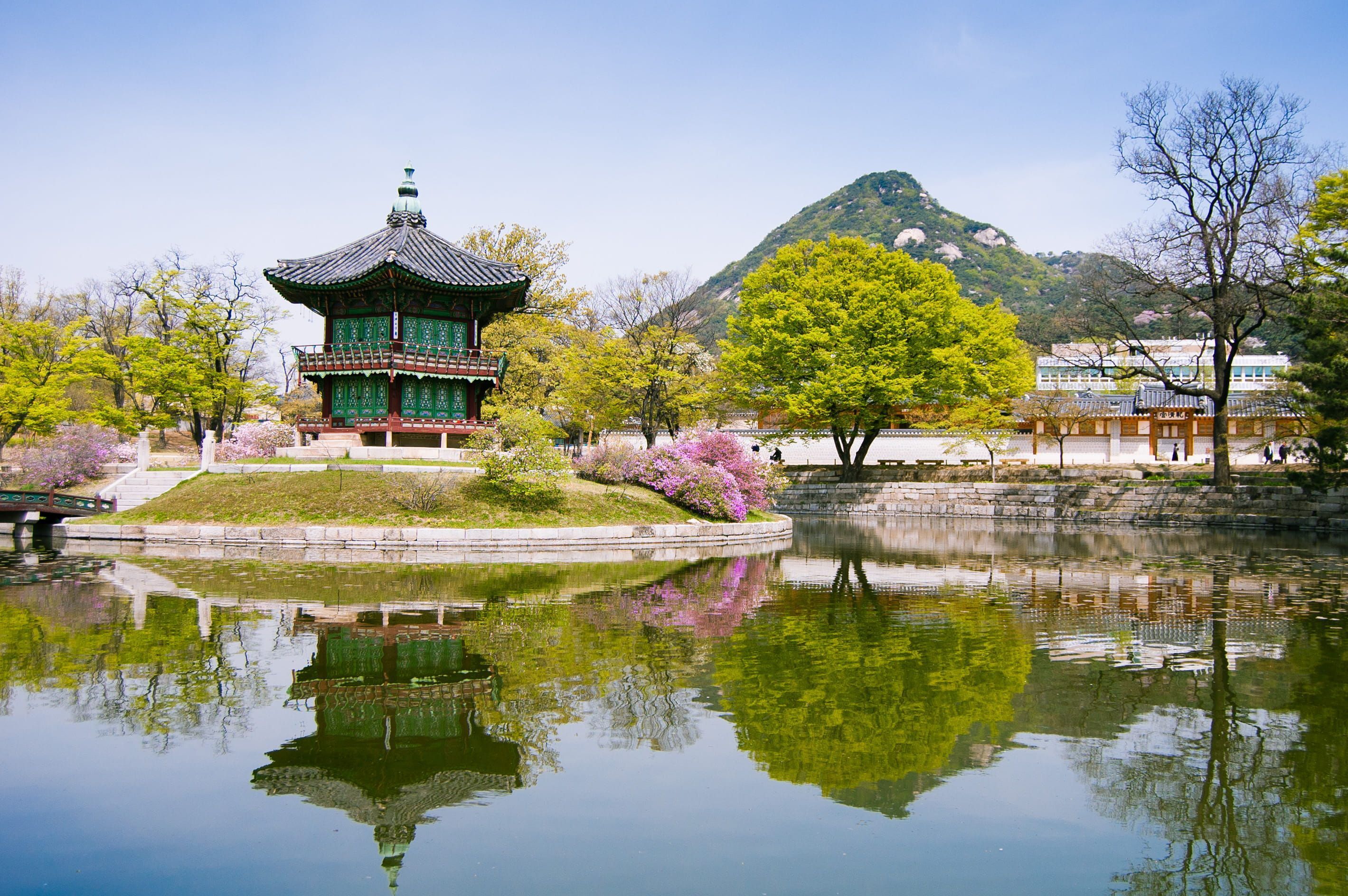 2839x1888 seoul south korea gyeongbokgung palace #korea #travel #traditional #palace K #wallpaper #hdwallpaper #desktop. Korea wallpaper, Seoul, Scenery