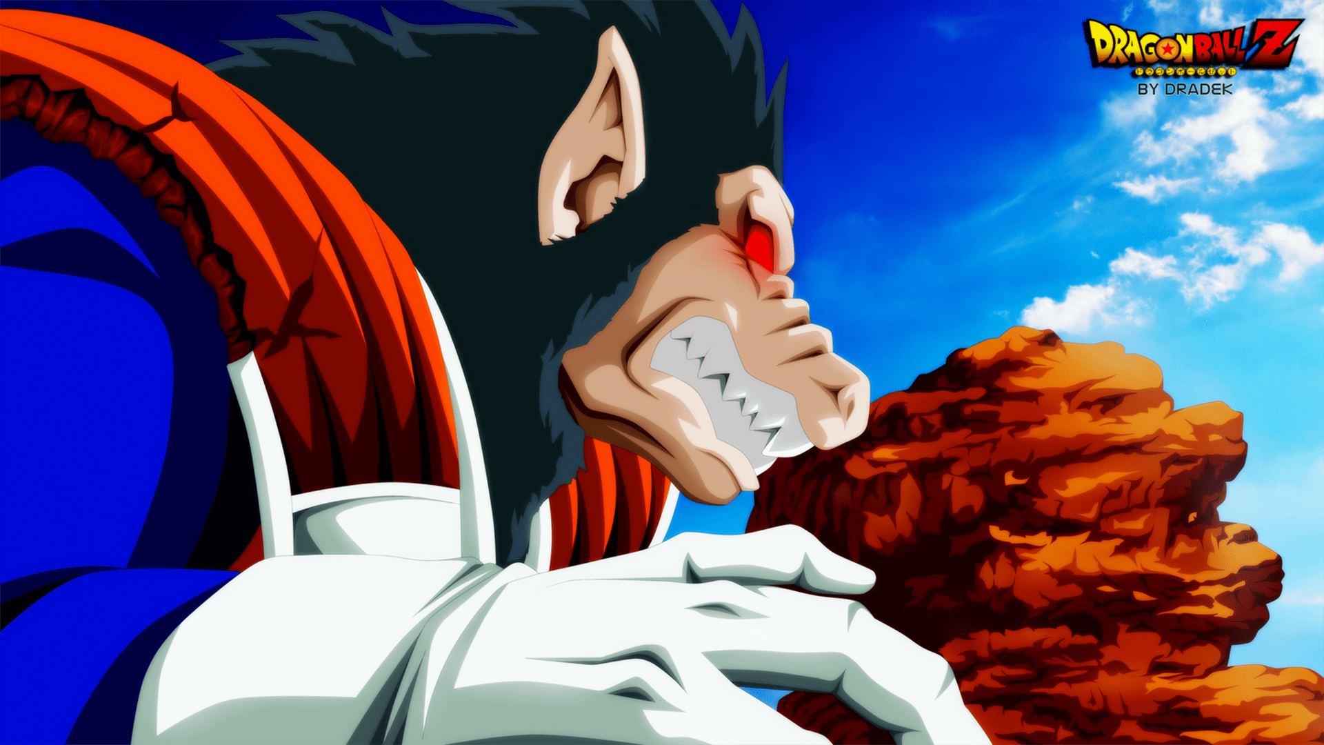 1920x1080 Anime Dragon Ball Z HD Wallpaper