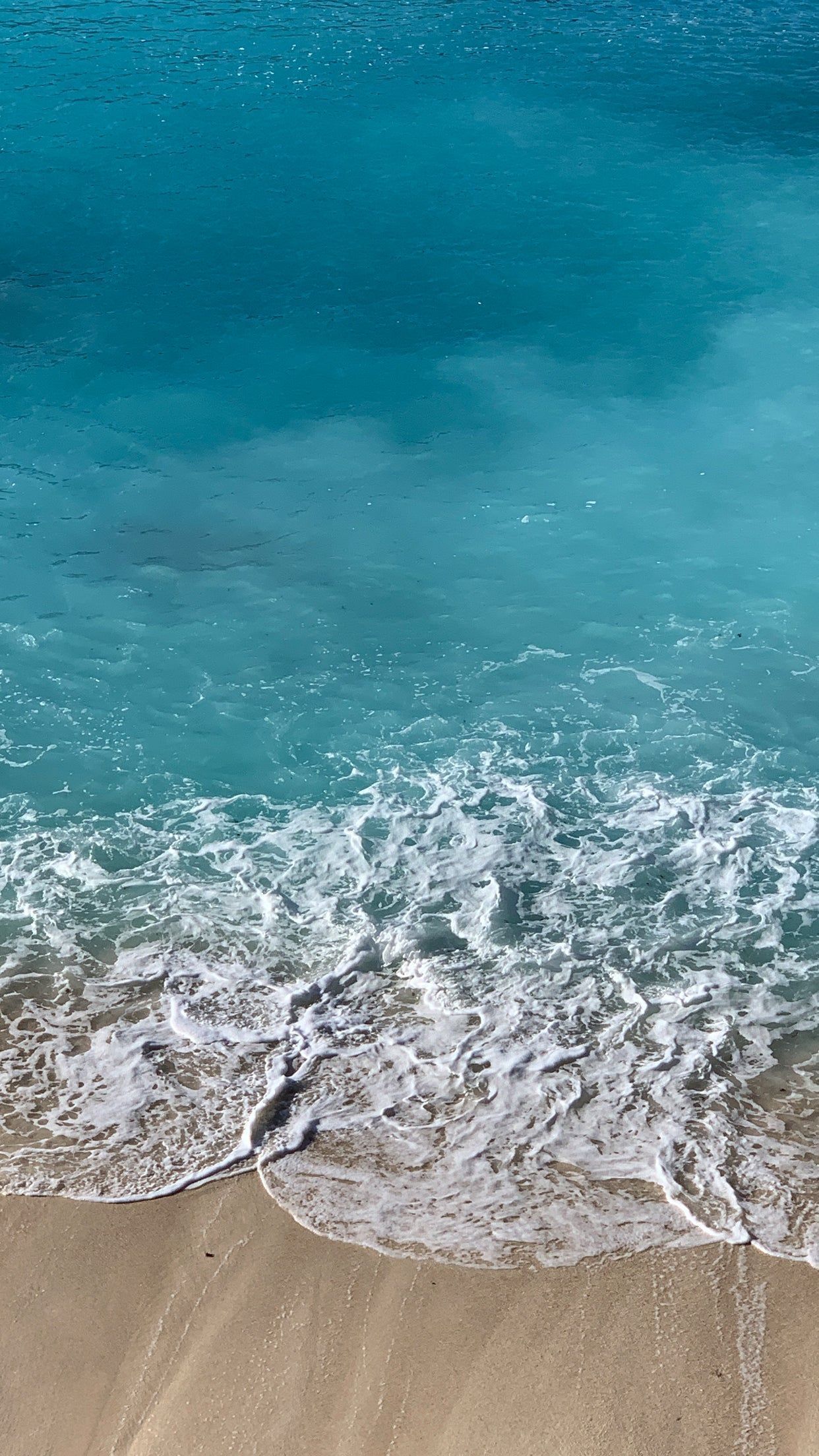 1242x2208 Tropical Escape: 10 free Wallpaper downloads