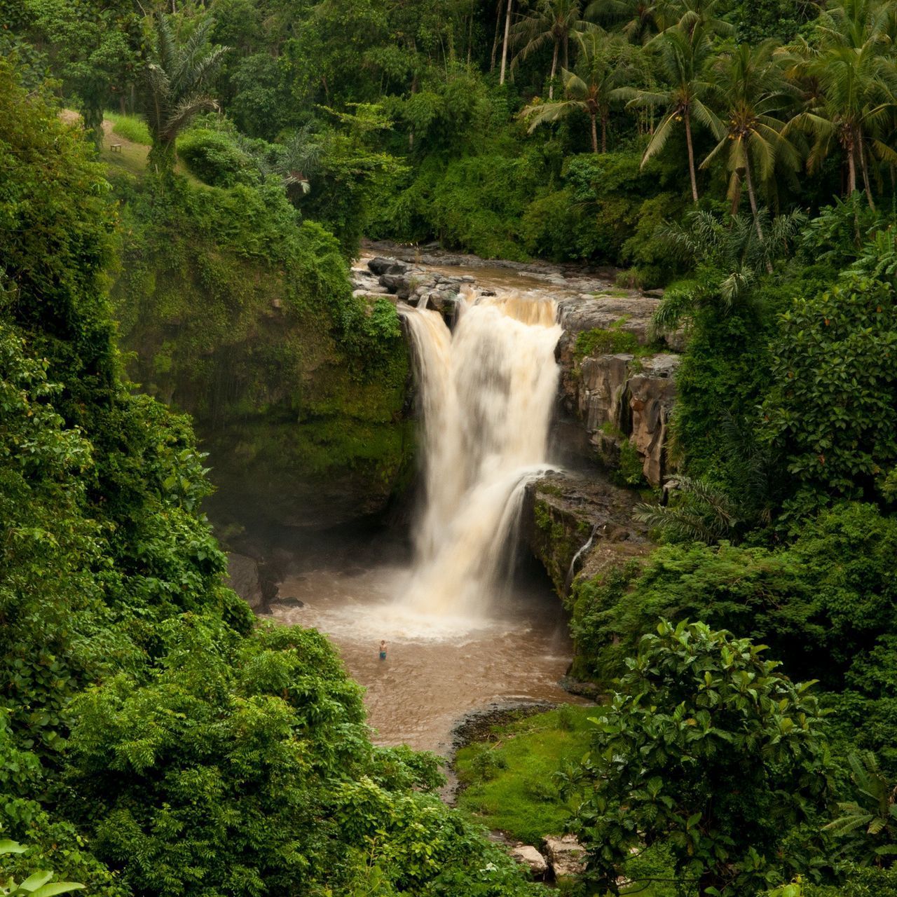 1280x1280 Download wallpaper 1280x1280 bali, indonesia, waterfall, forest, palm trees, rock ipad, ipad ipad mini for parallax HD background